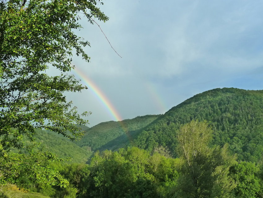 Maison nature à SAINT ANDRÉ DE NAJAC