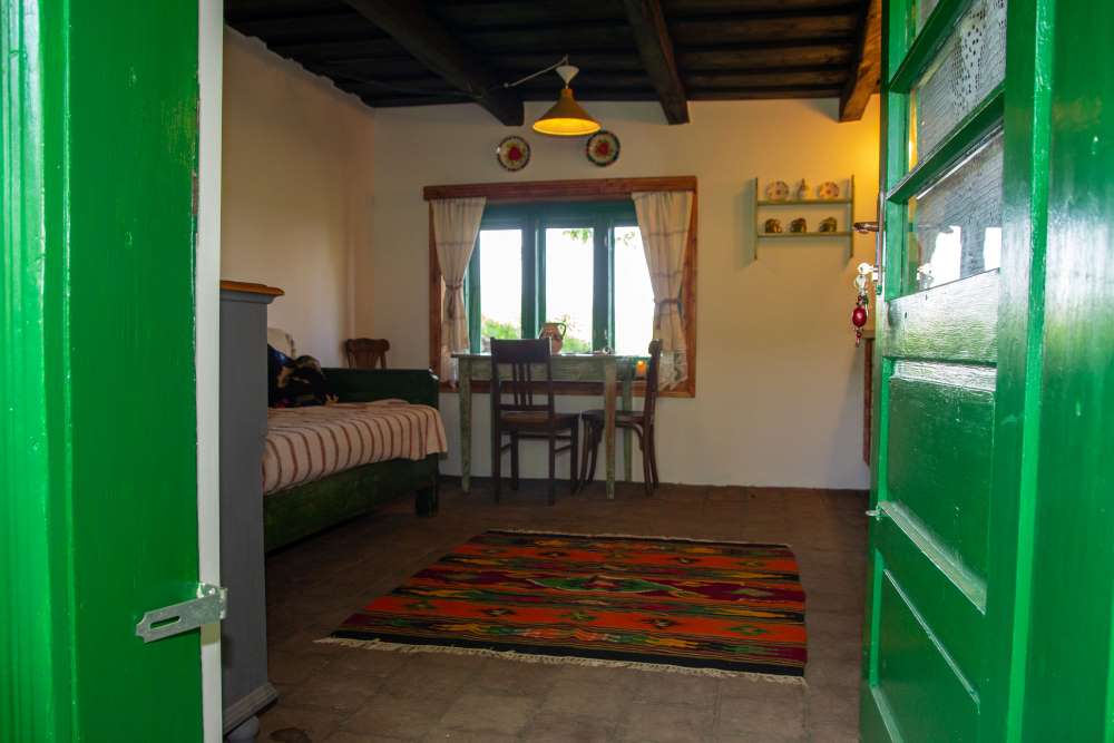 Nature house in Zece Hotare