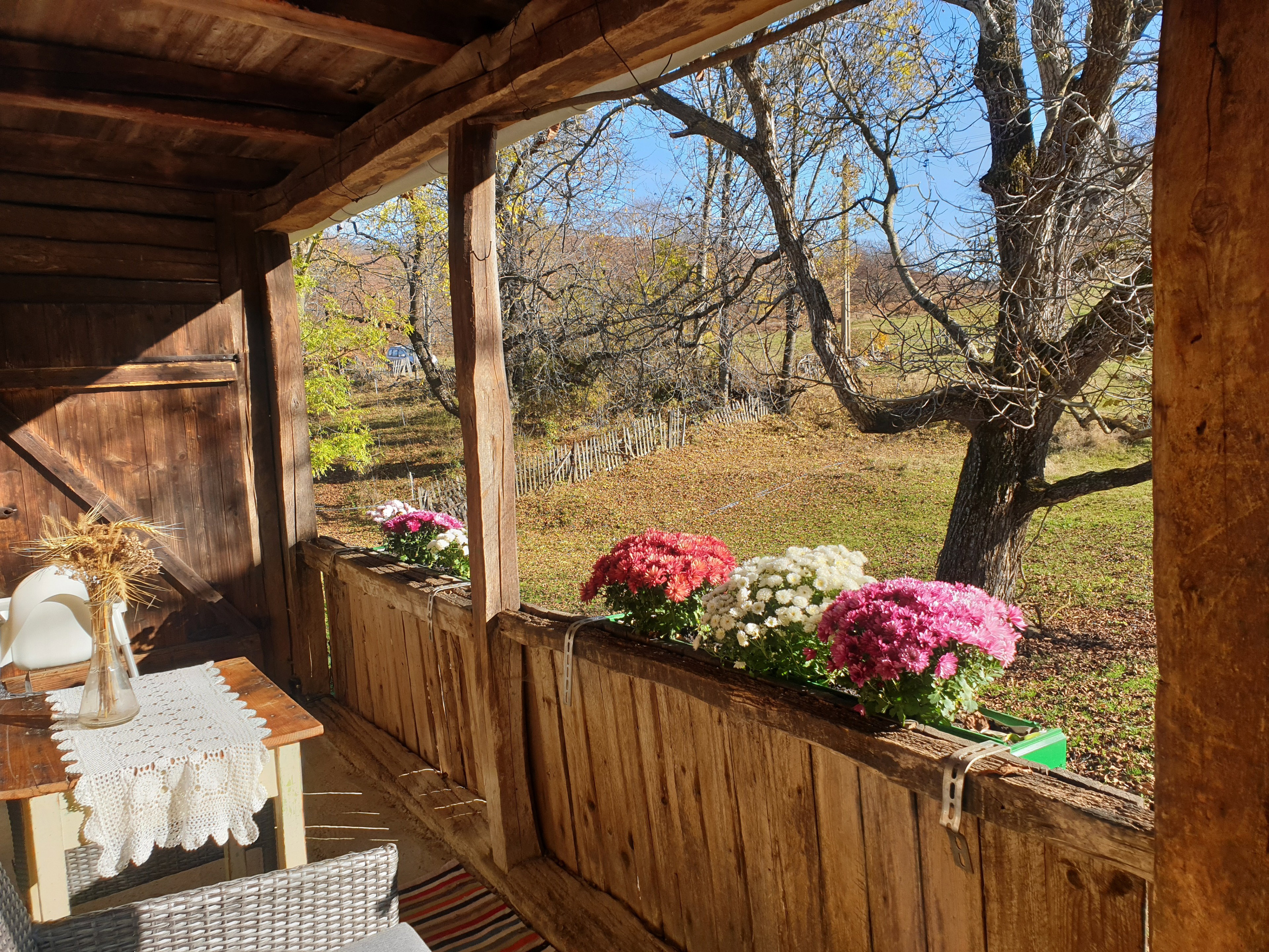 Nature house in Zece Hotare