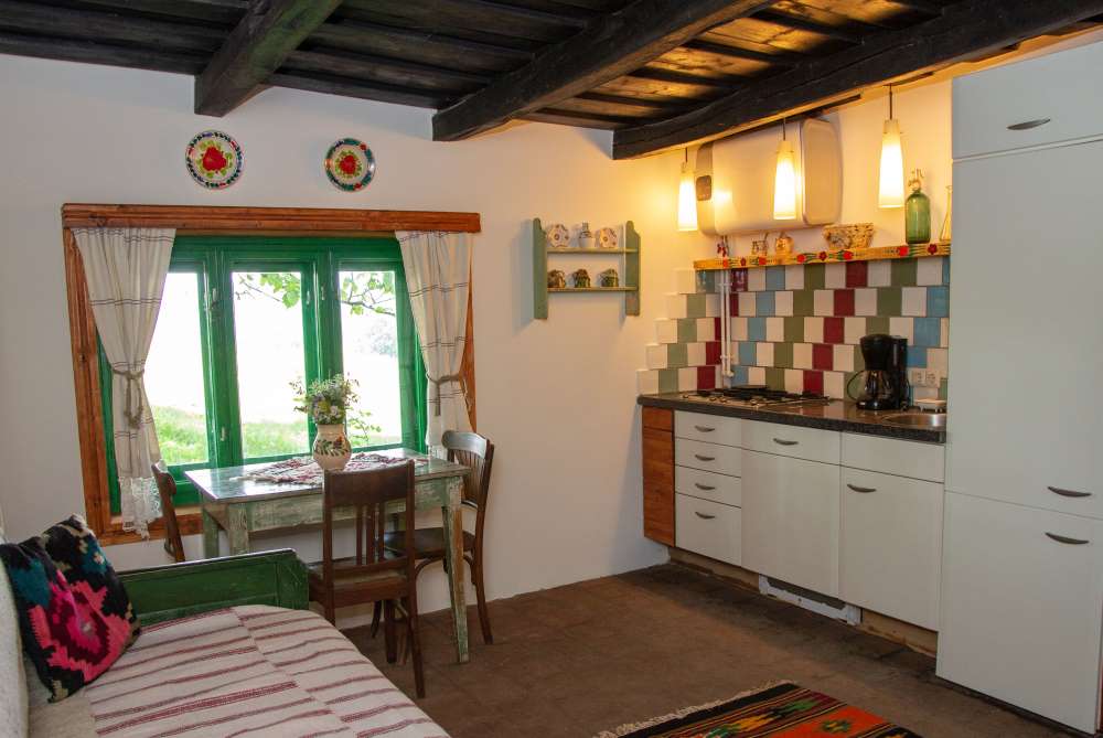 Nature house in Zece Hotare