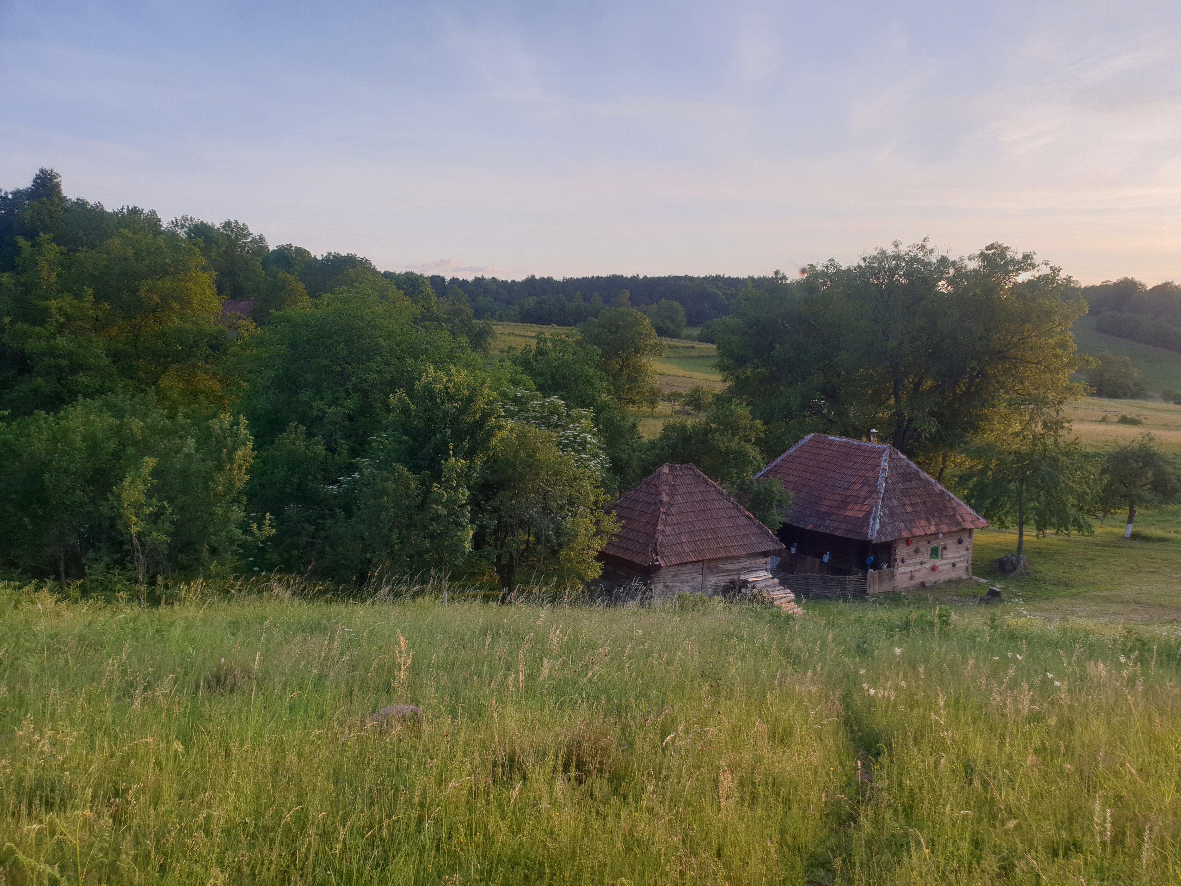 Nature house in Zece Hotare