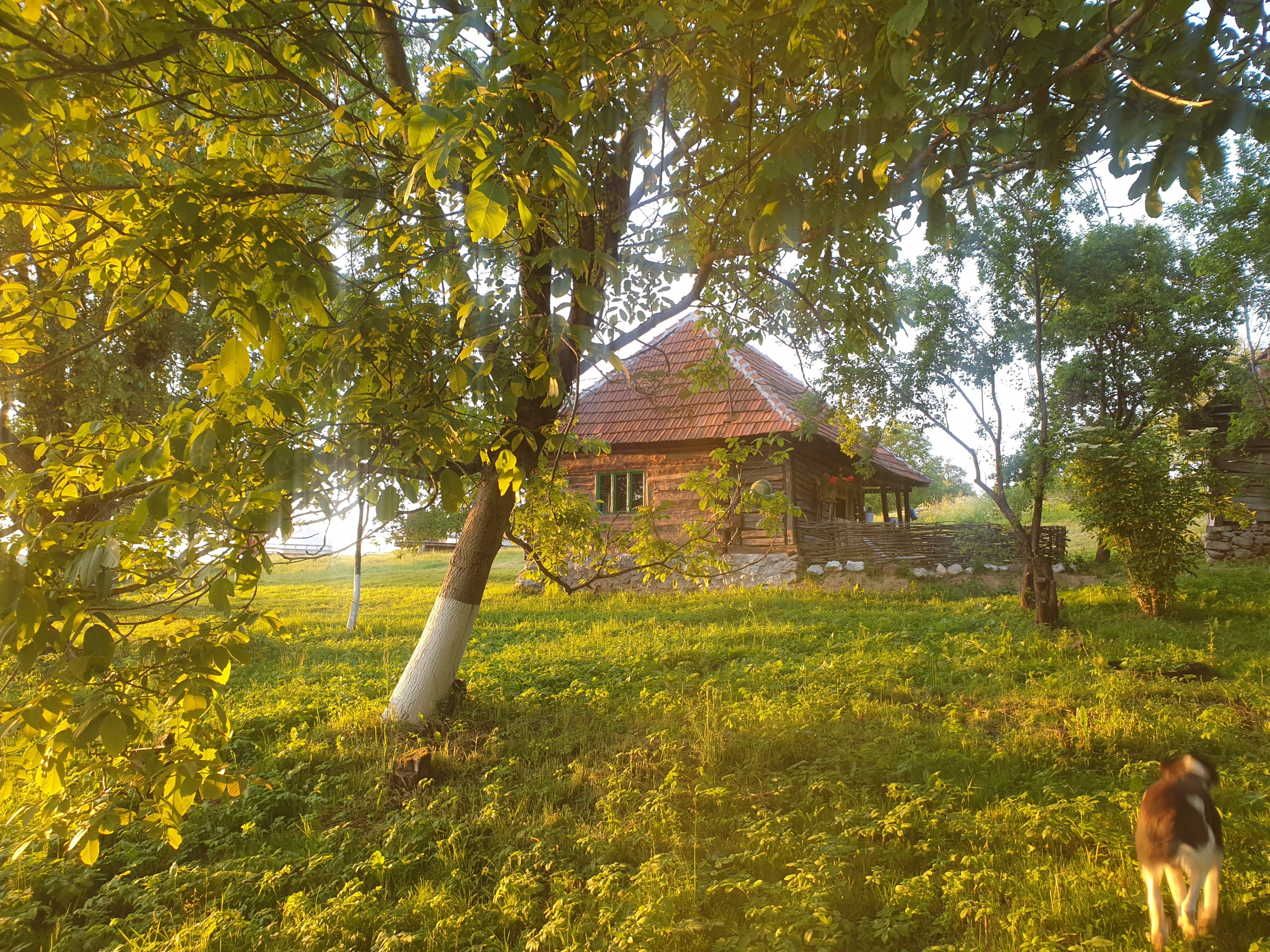 - image: 19