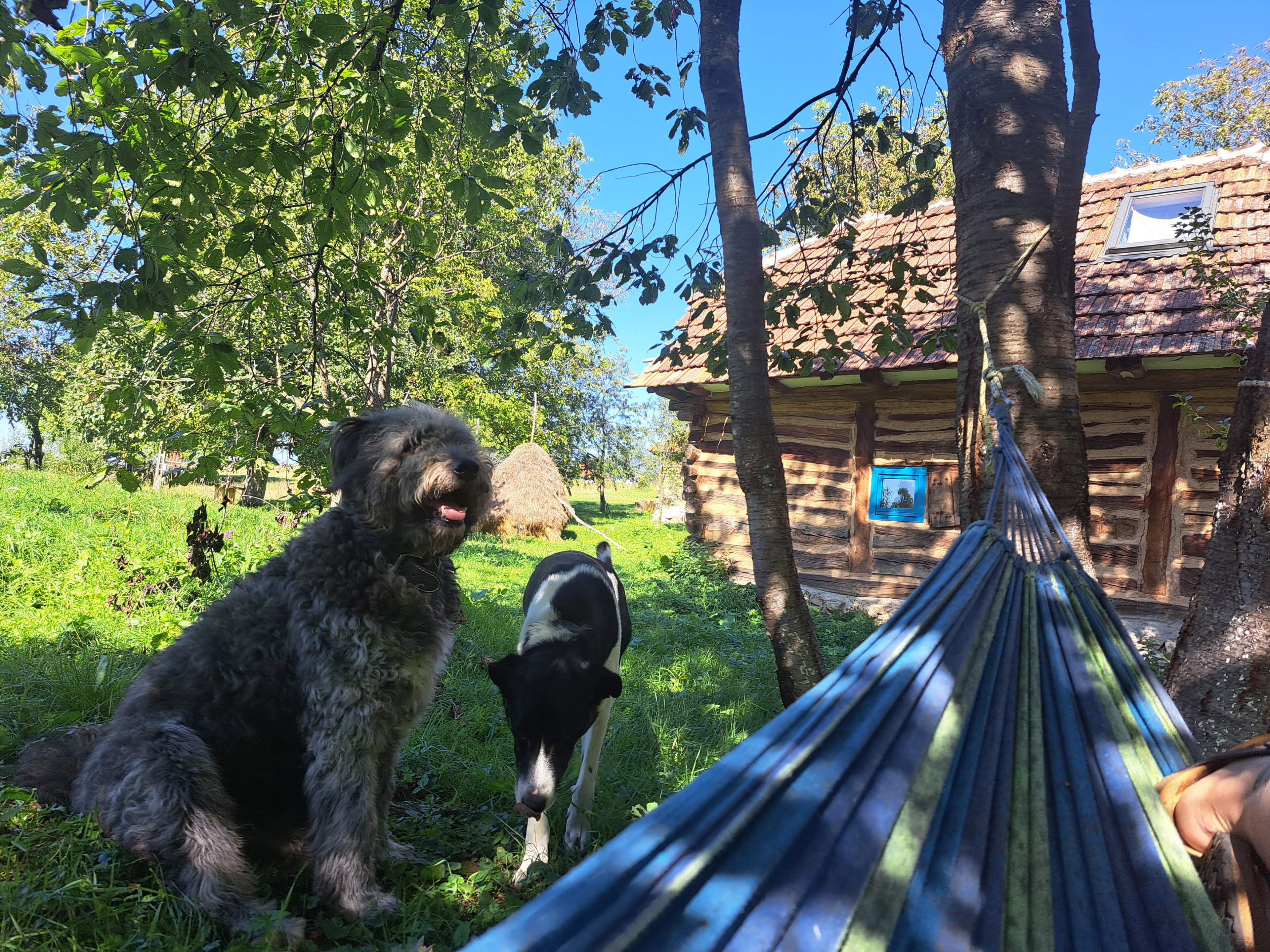 Nature house in Zece Hotare