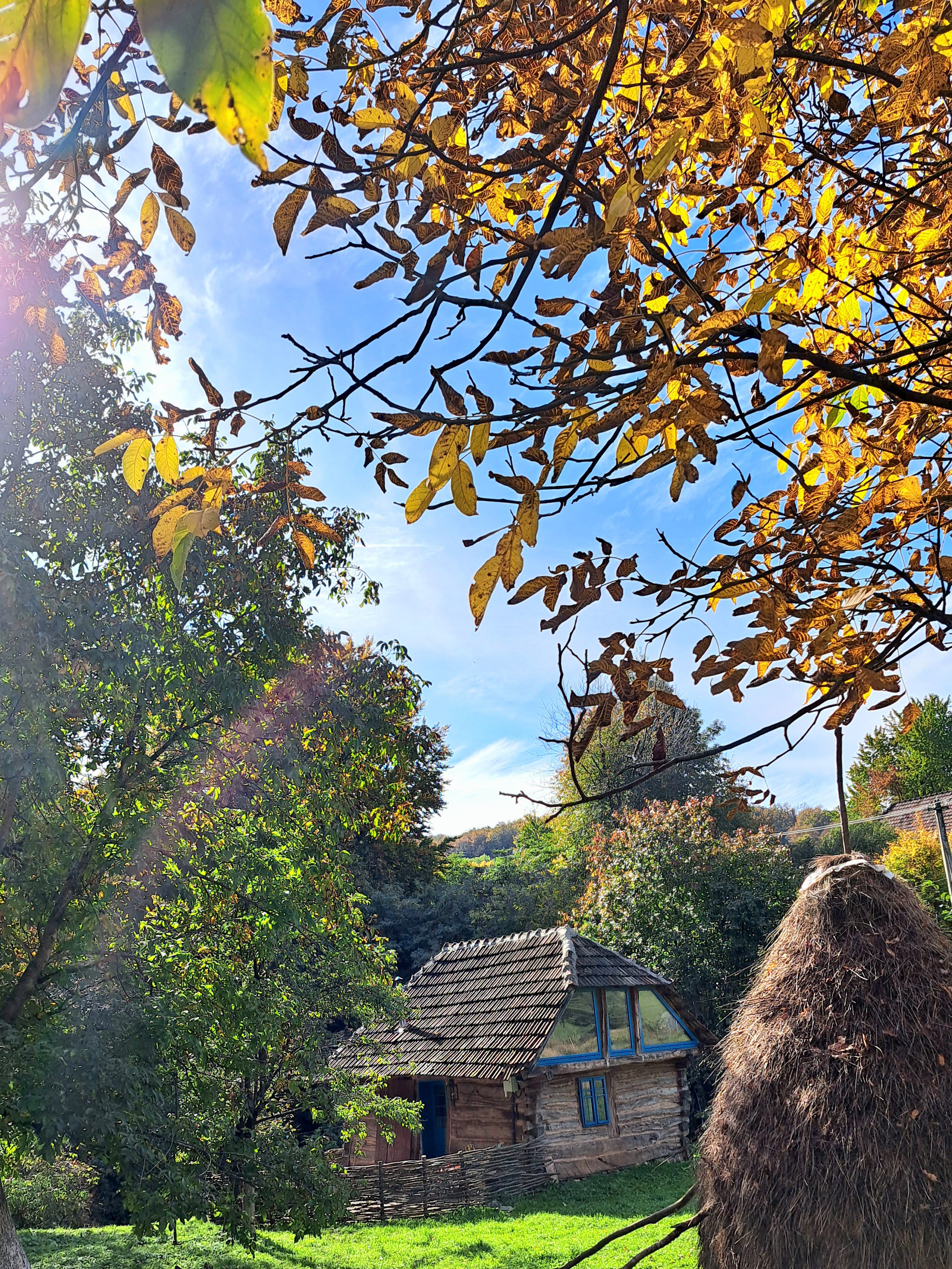 Nature house in Zece Hotare