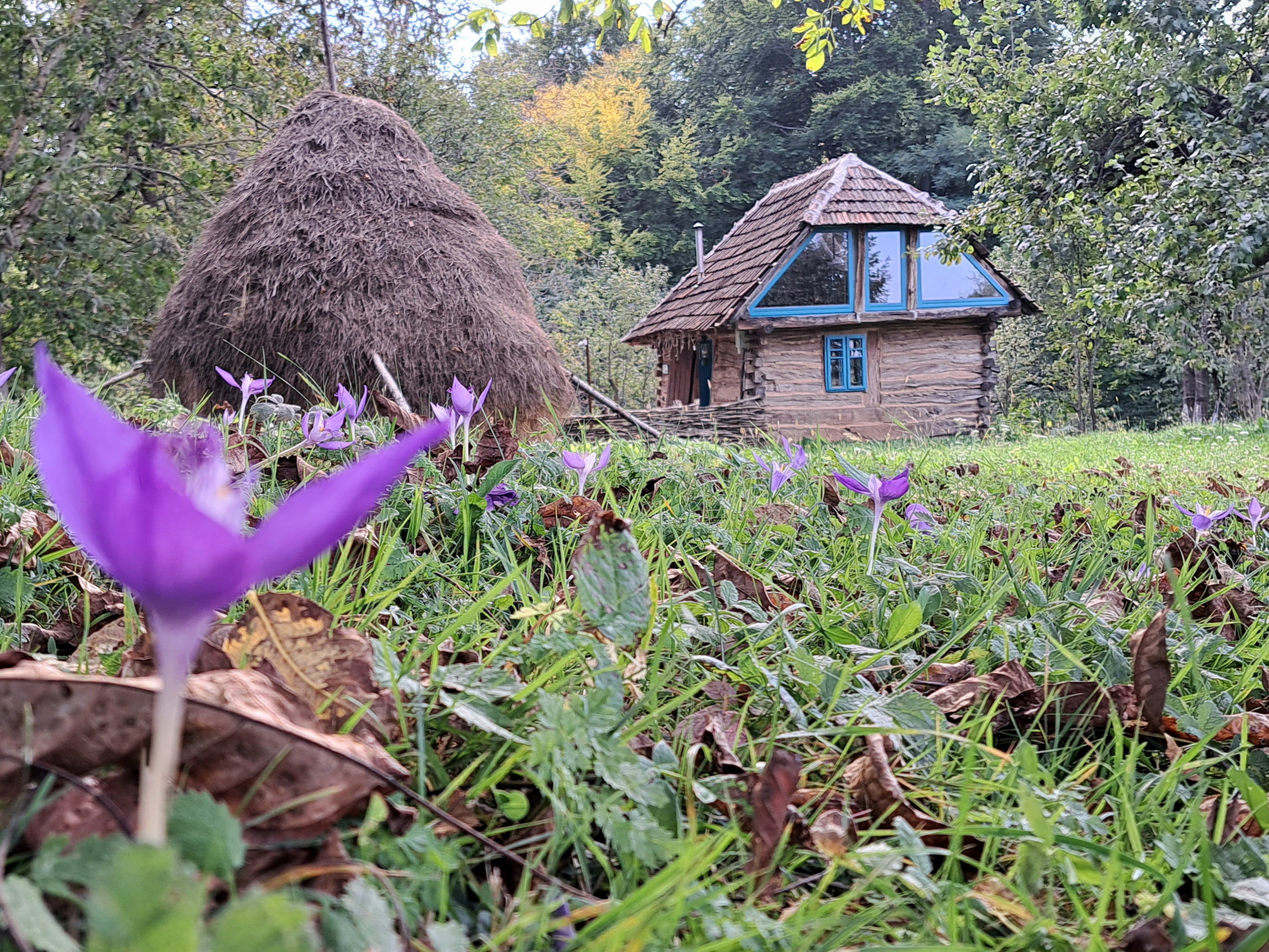Nature house in Zece Hotare