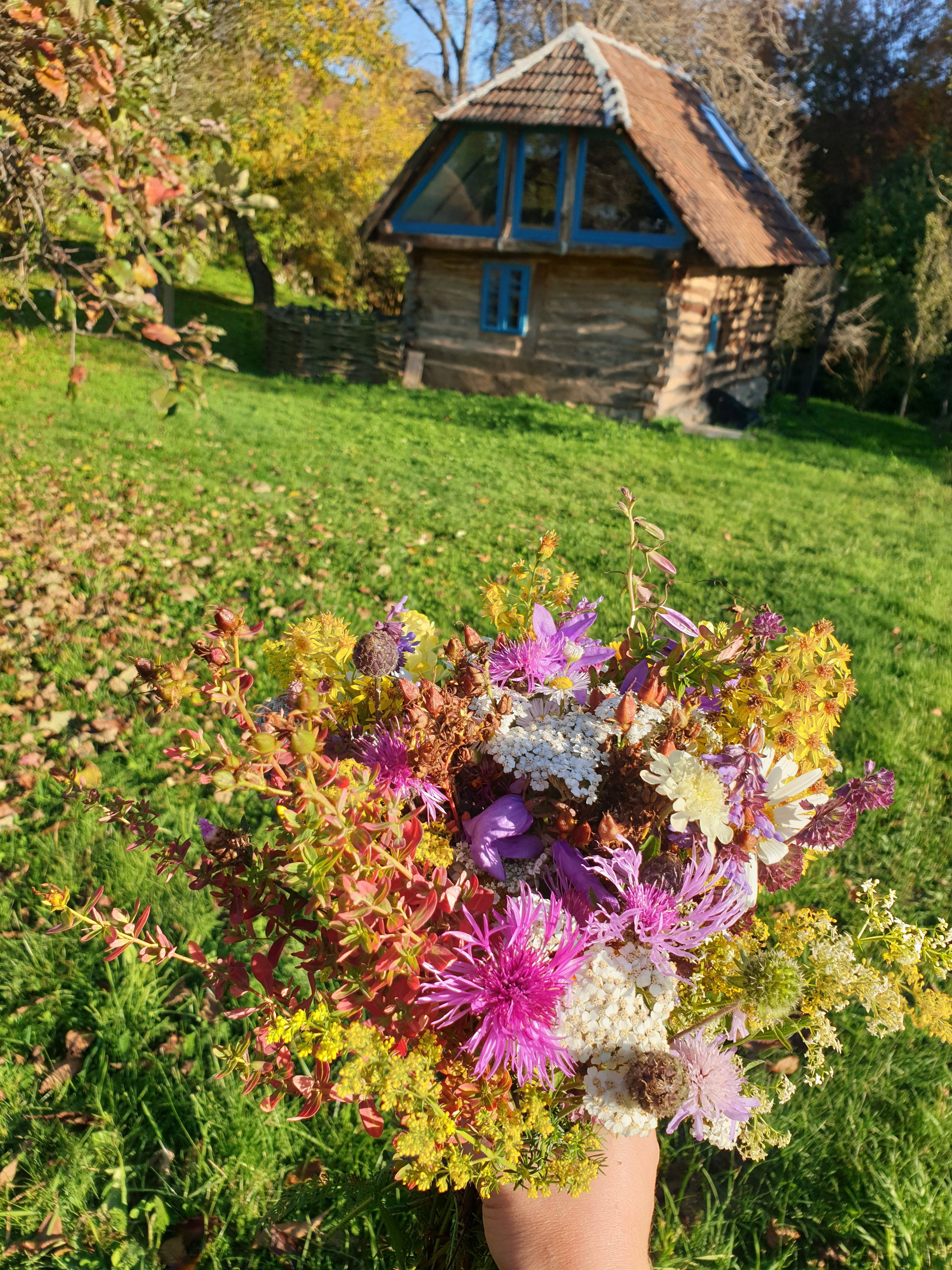 Nature house in Zece Hotare