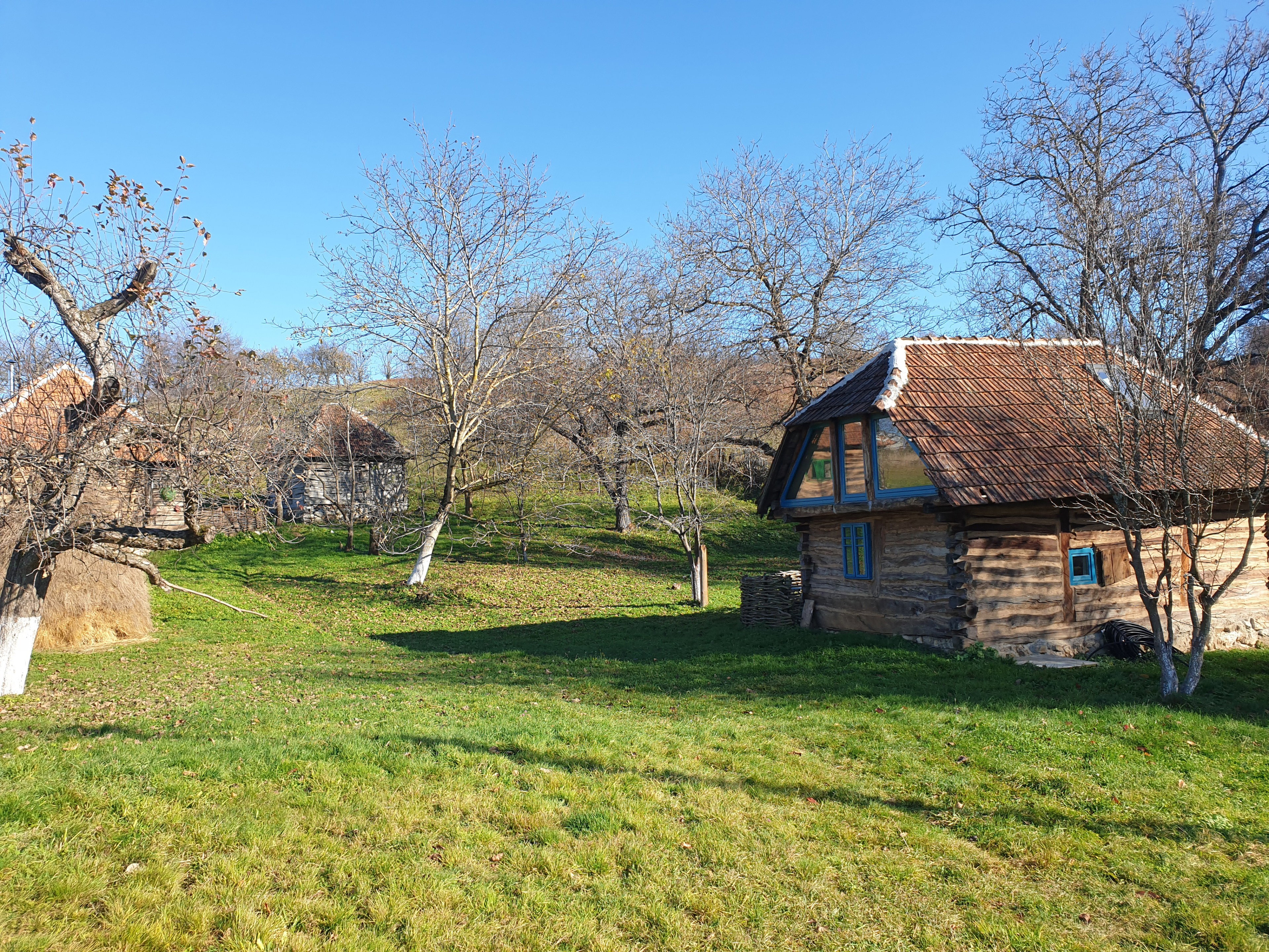 Nature house in Zece Hotare