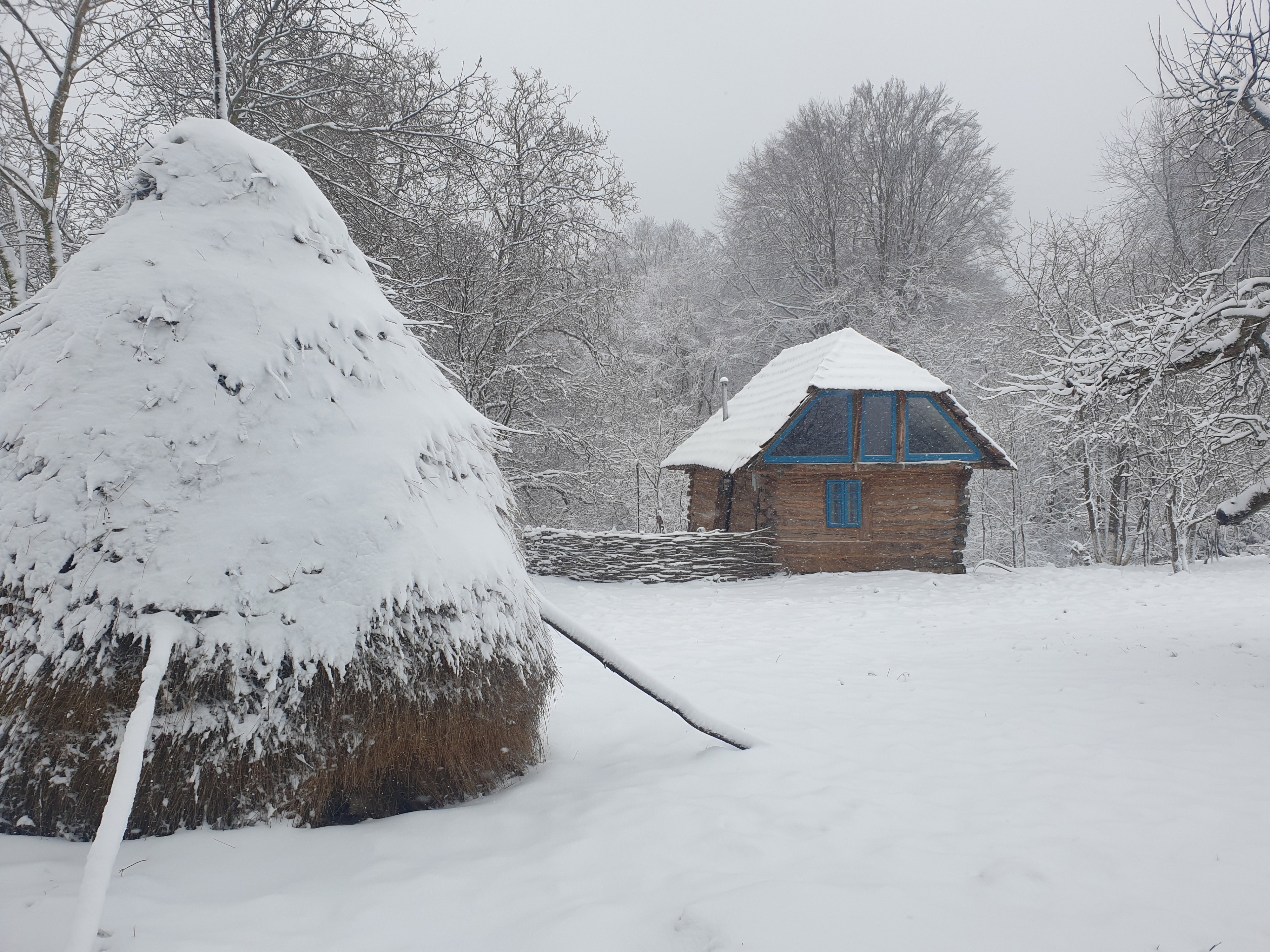 Nature house in Zece Hotare