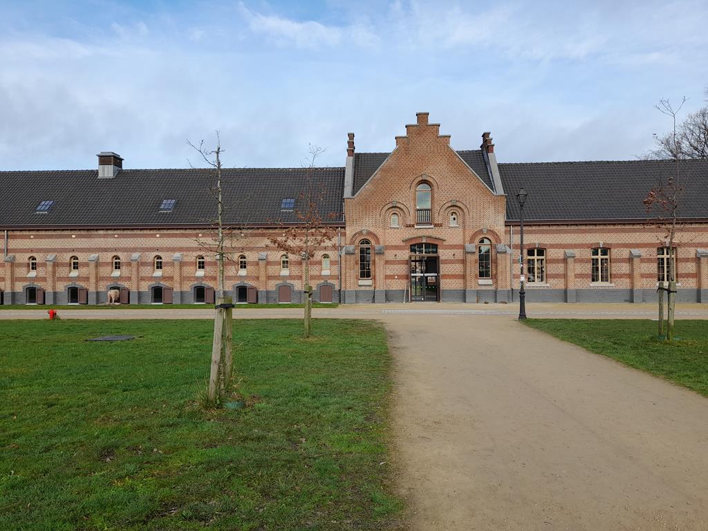 - image: 29