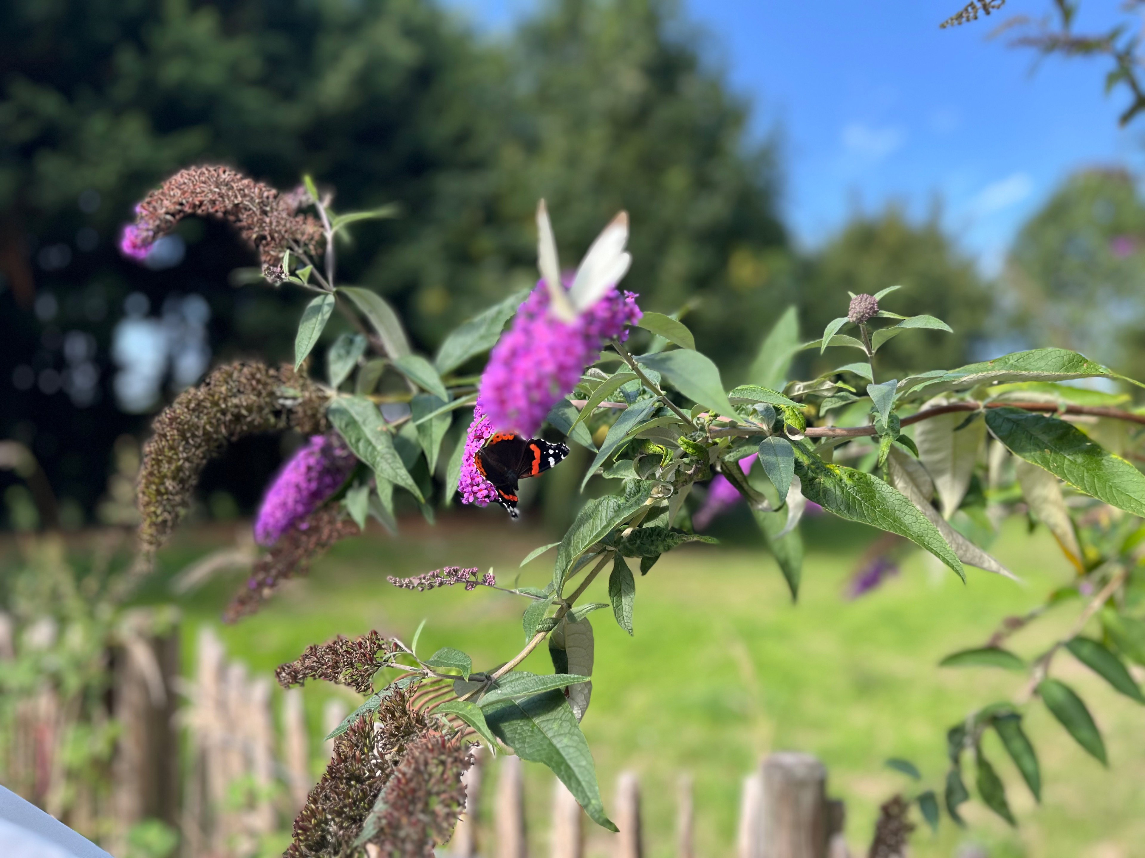 Natuurhuisje in Zierikzee