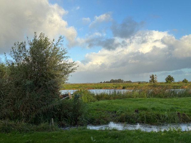 - image: 41