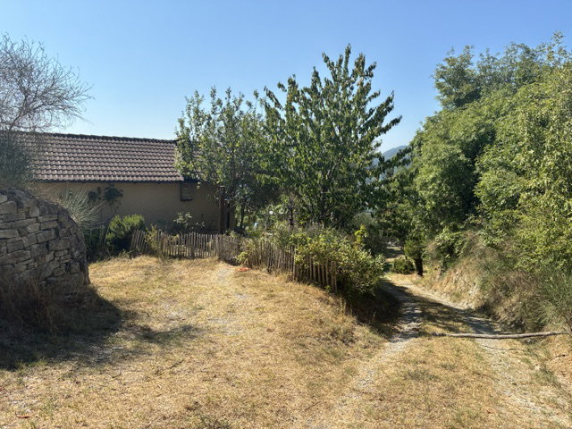 - image: 1