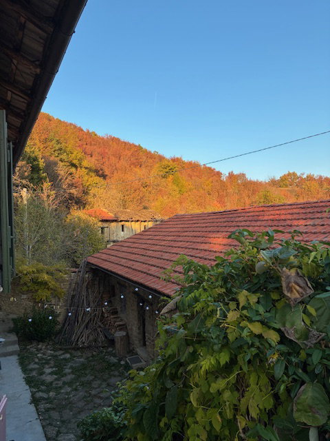 - image: 25