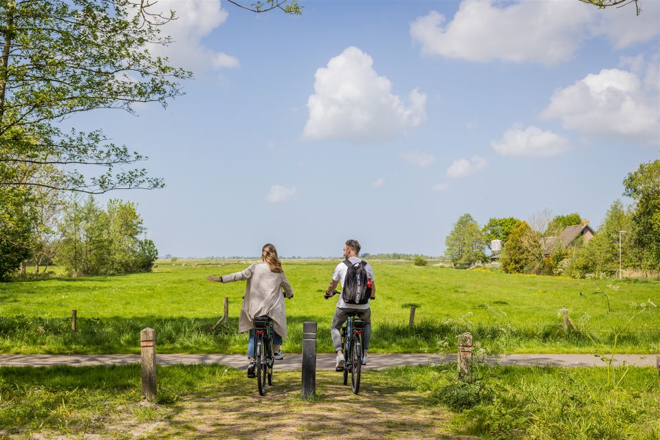 Natuurhuisje in Weidum