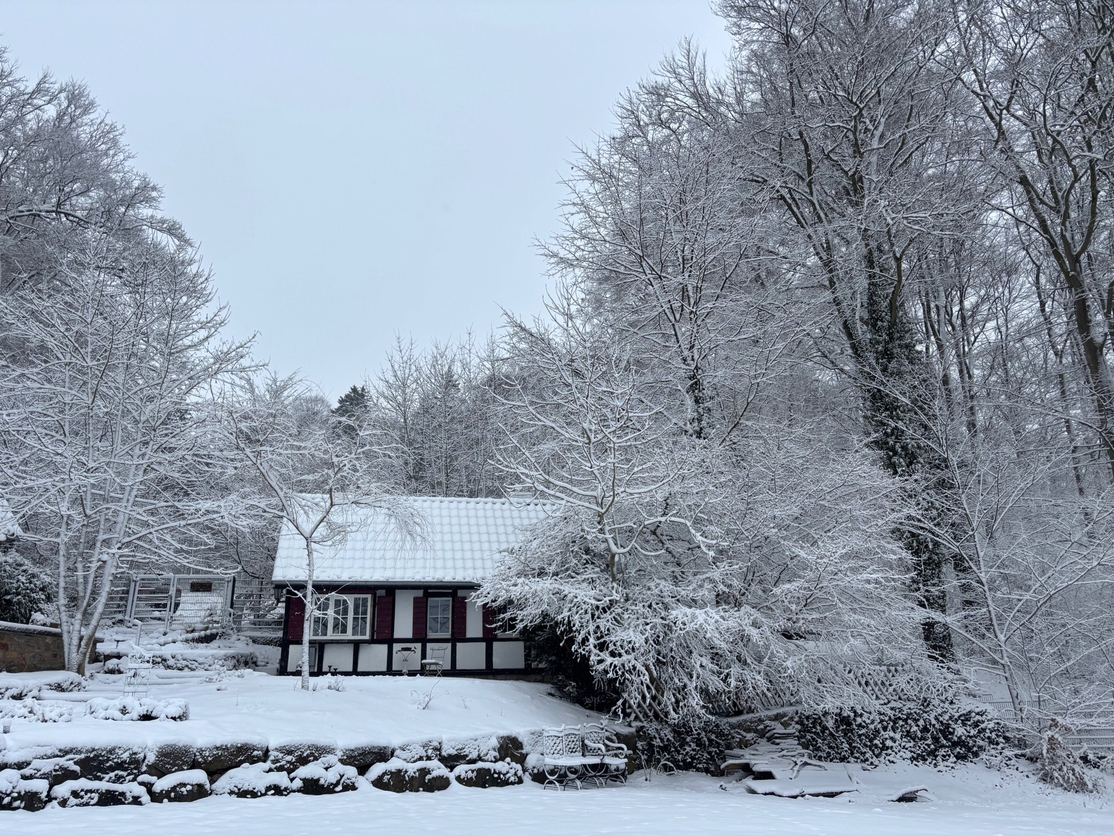 Maison nature à Blankenheim