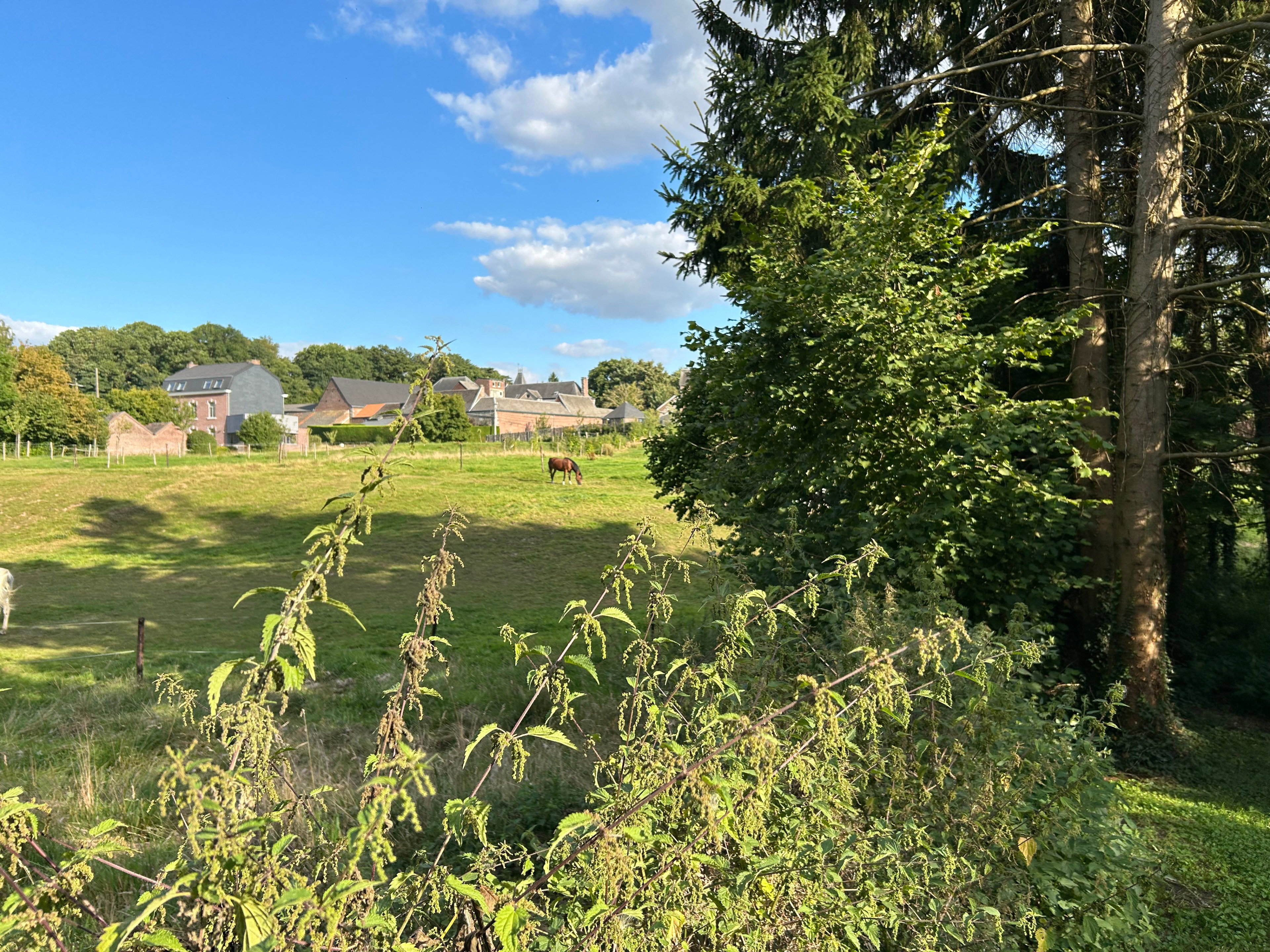 Natuurhuisje in Vaux-et-Borset (Villers-Le-Bouillet)