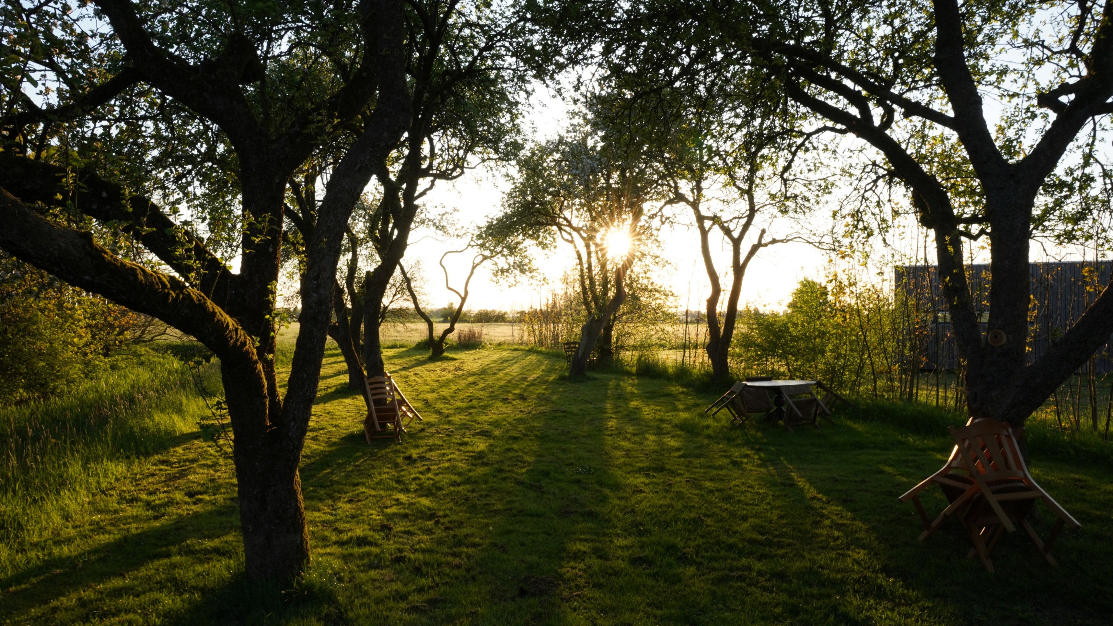 Natuurhuisje in Weidum