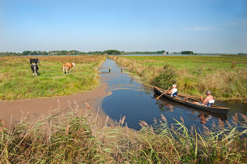 Natuurhuisje in Weidum