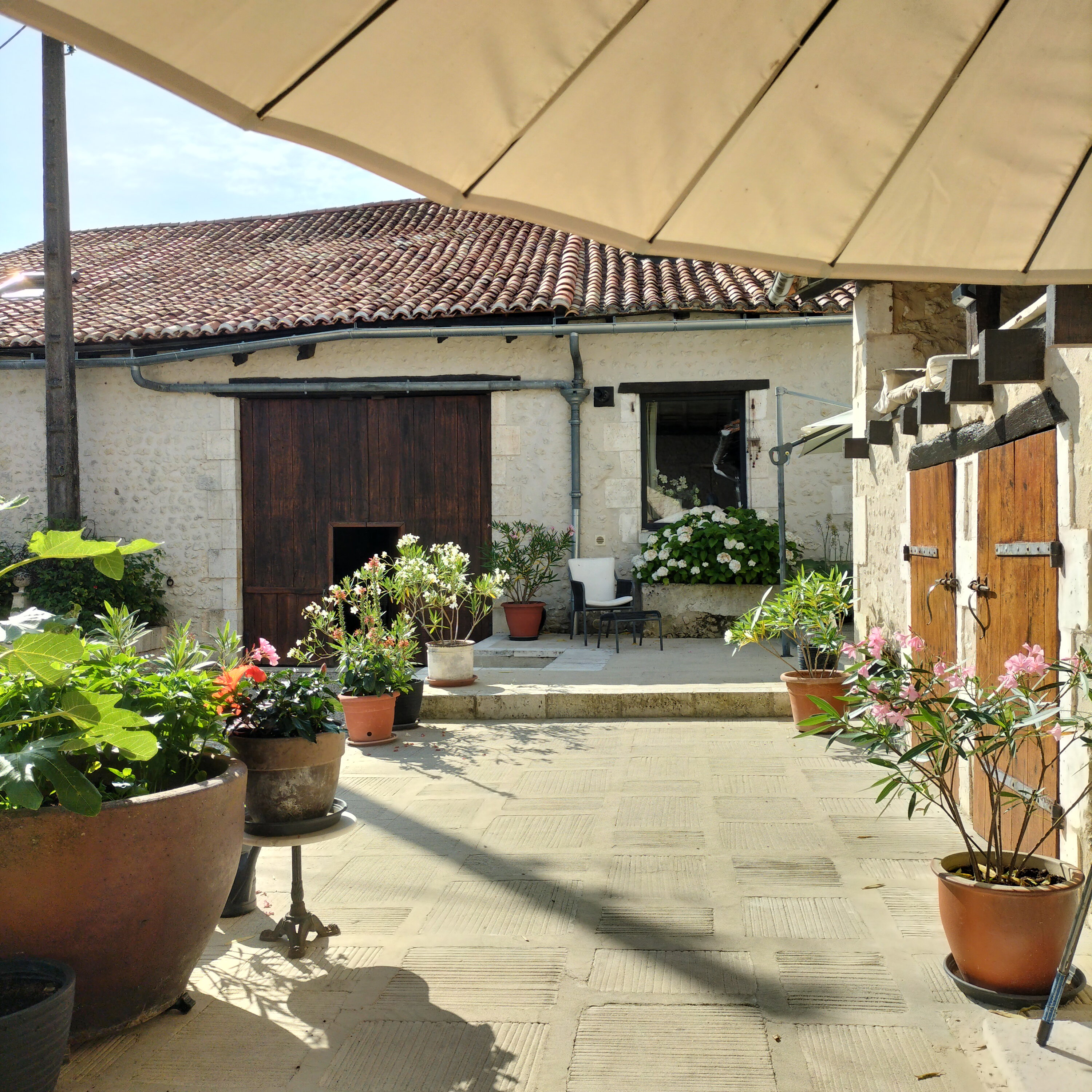 - image: 14
