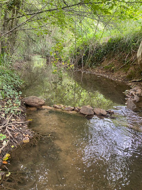 Nature house in Montcabrier