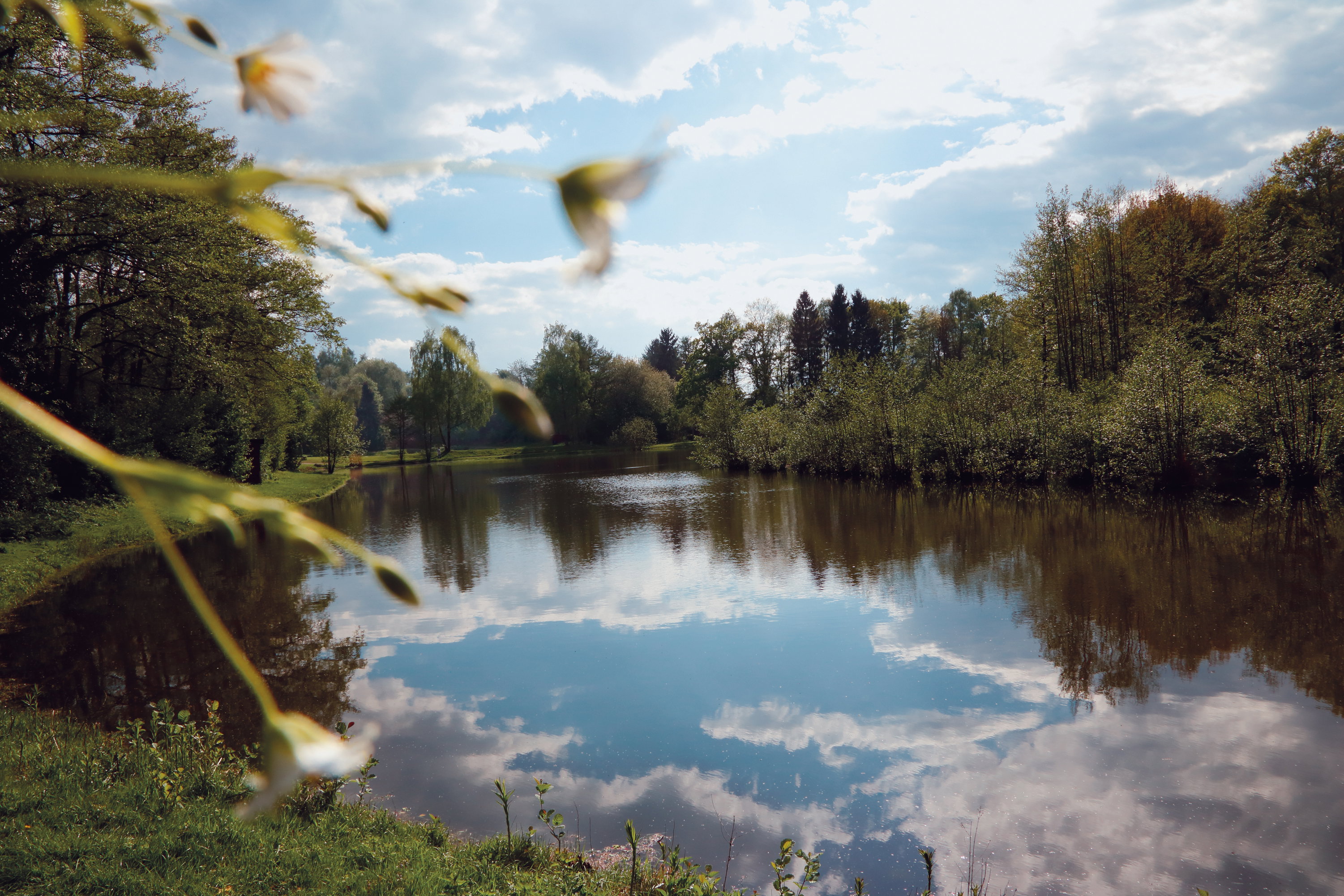 - image: 13