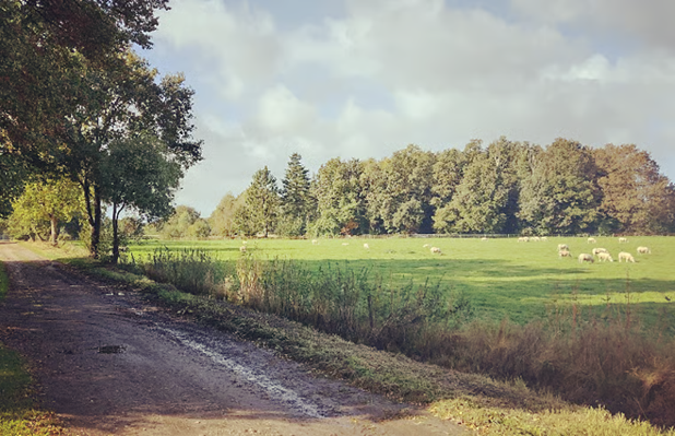 Casa nella natura a Emmen