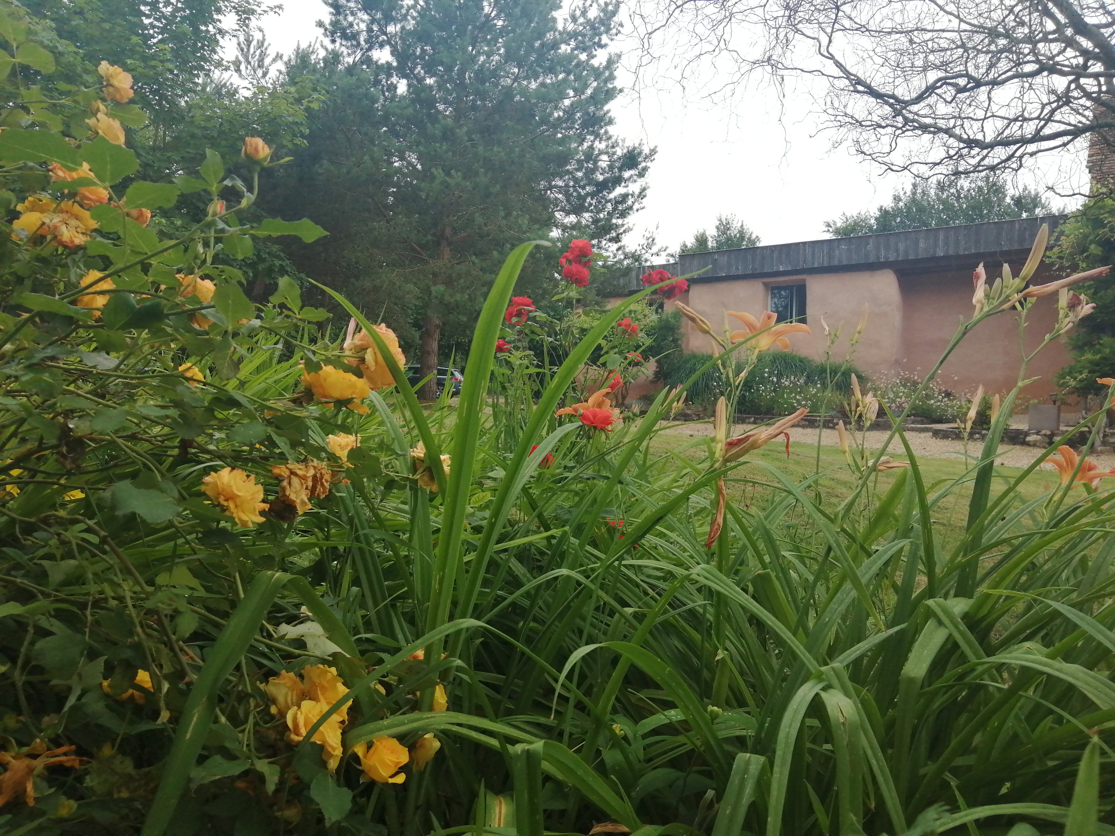 Nature house in Savigné sous le Lude