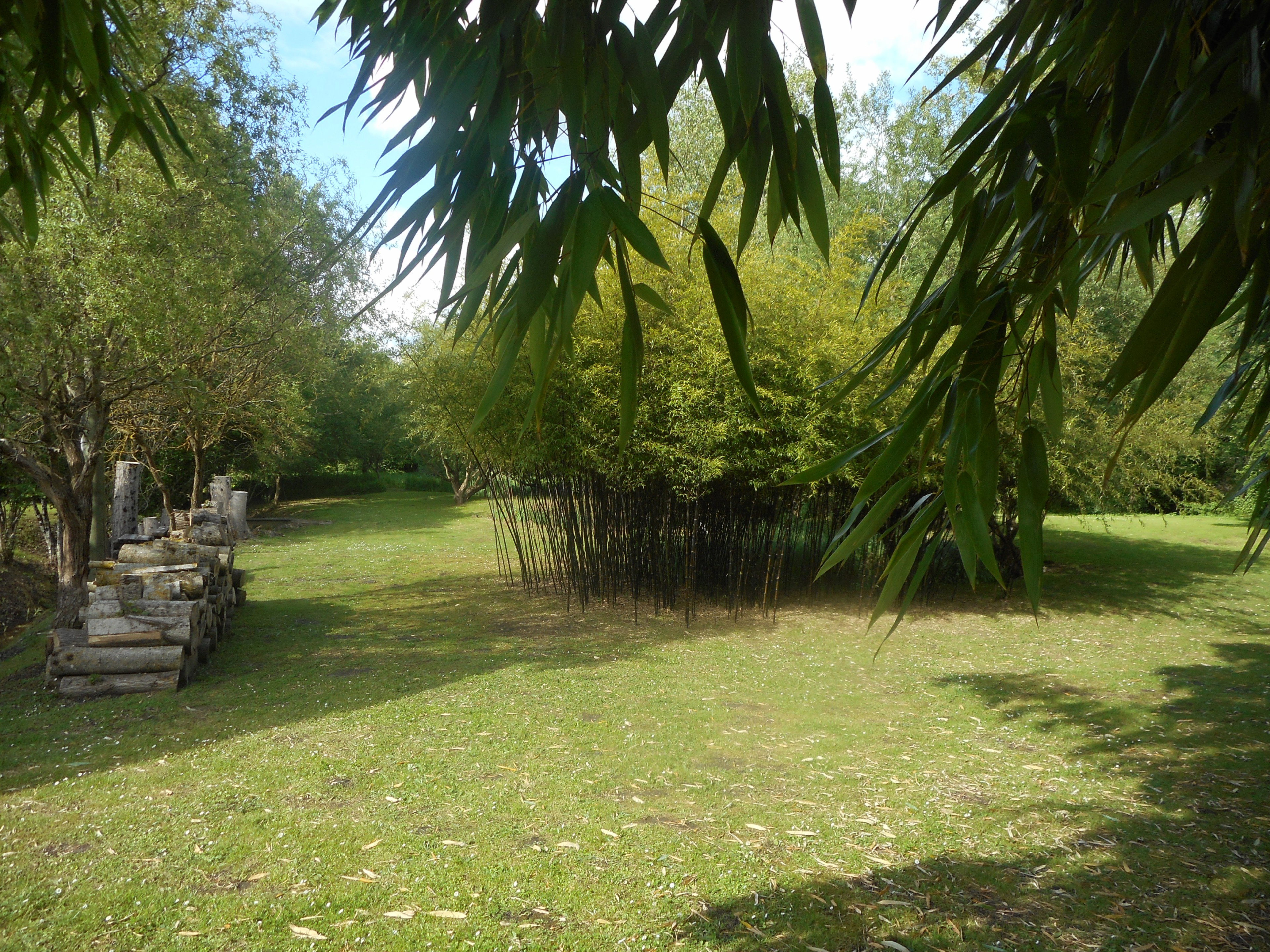 - image: 13