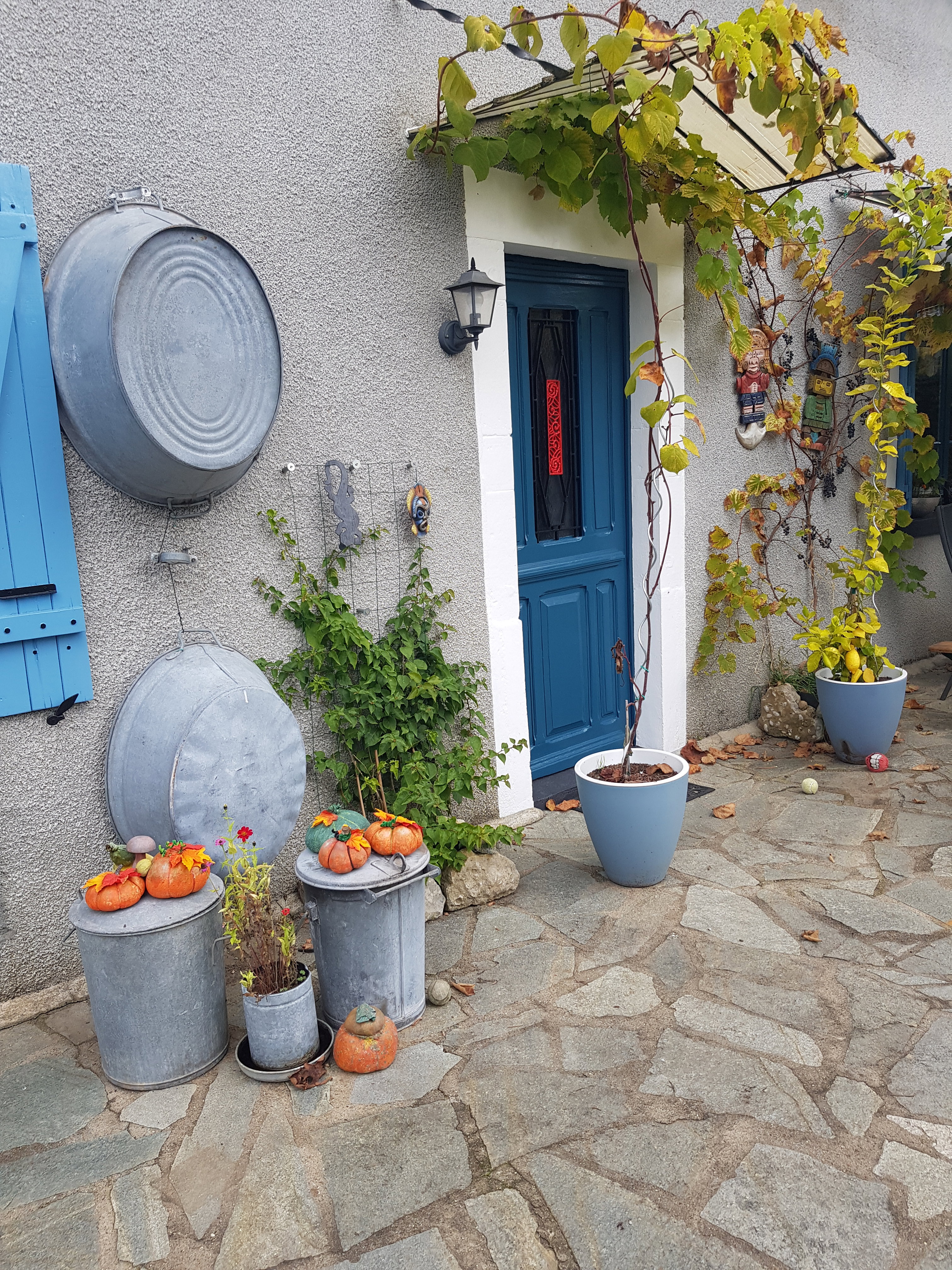 Nature house in Tintury