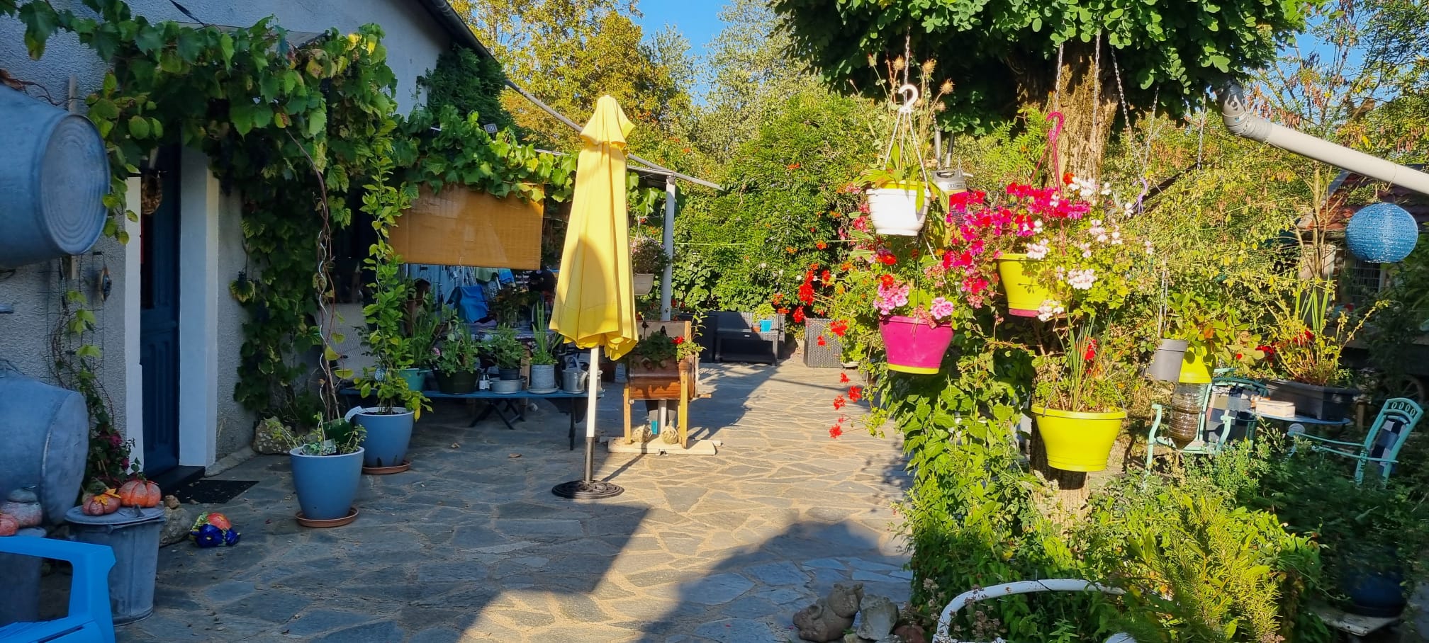 Nature house in Tintury