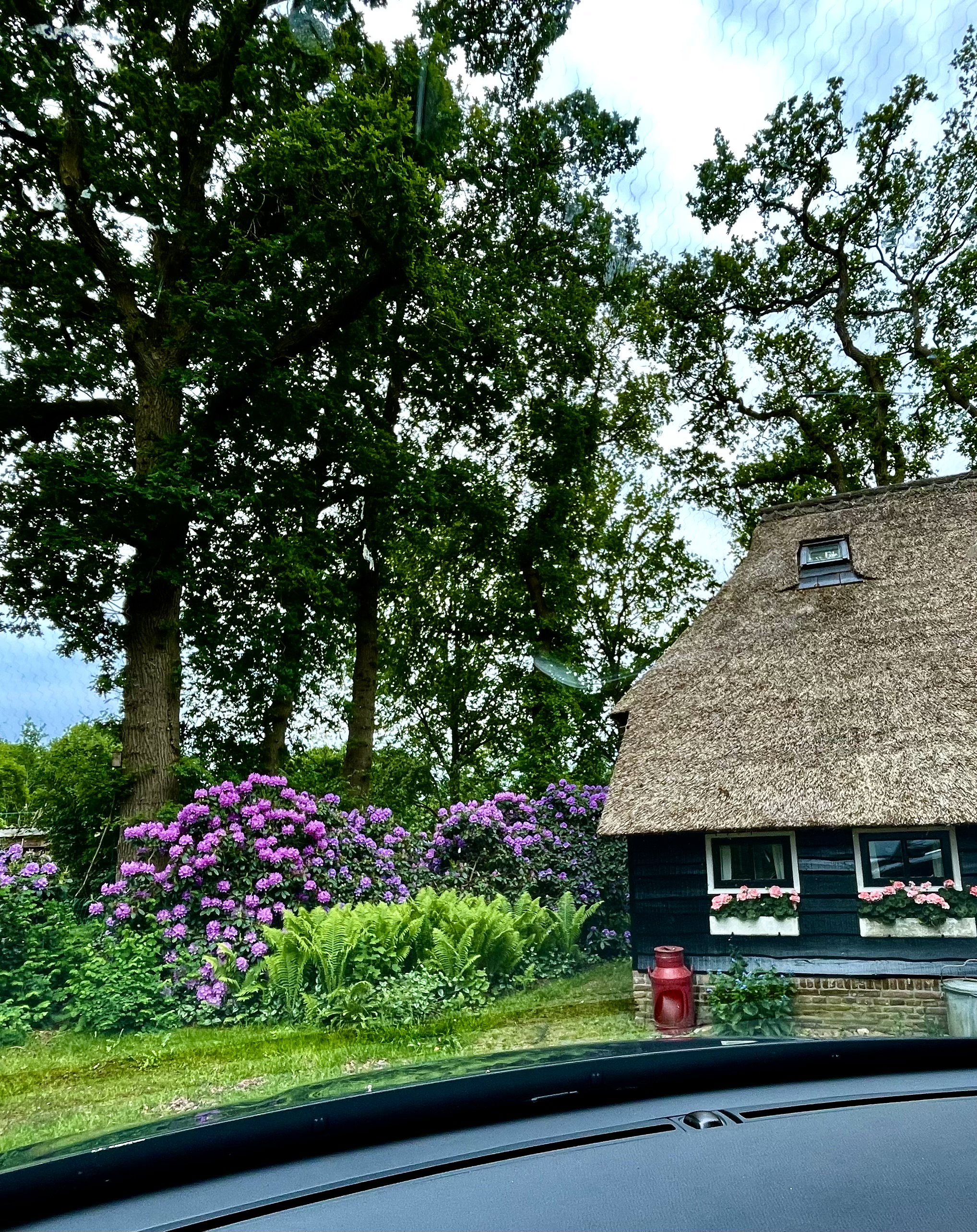 Naturhäuschen in Uffelte