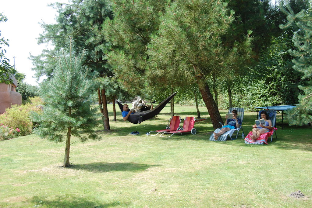 - image: 11