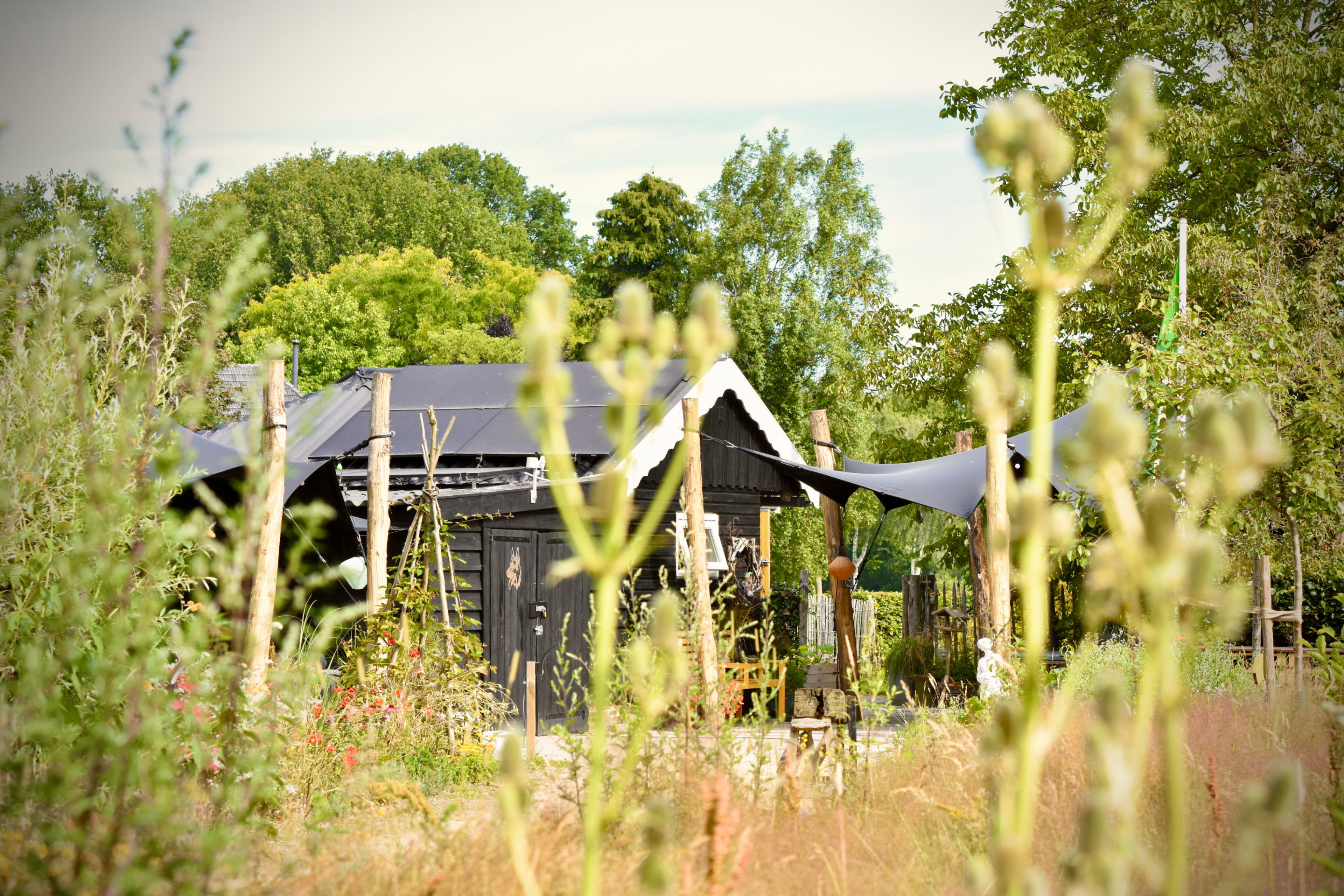 Natuurhuisje in Neede