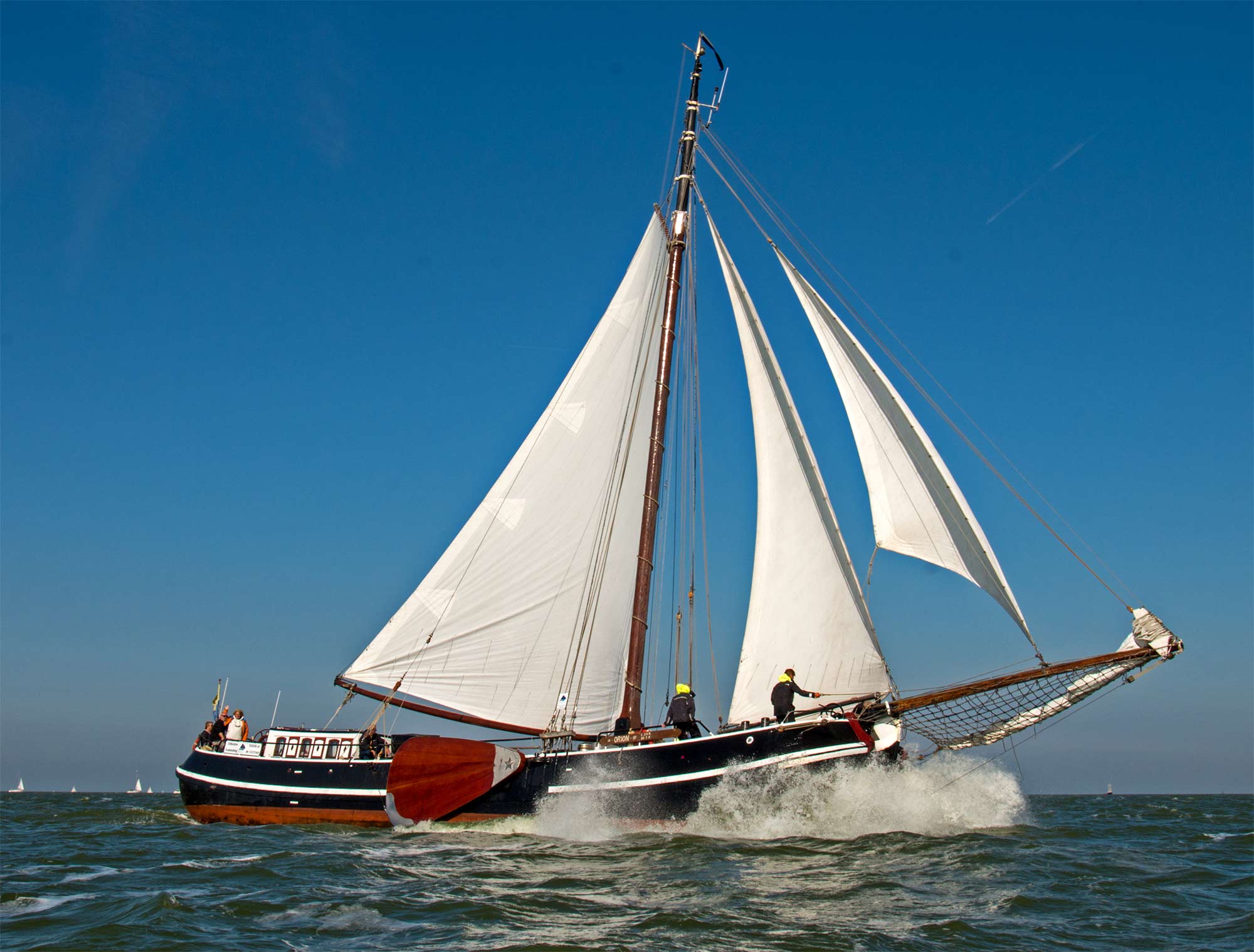 Natuurhuisje in Enkhuizen
