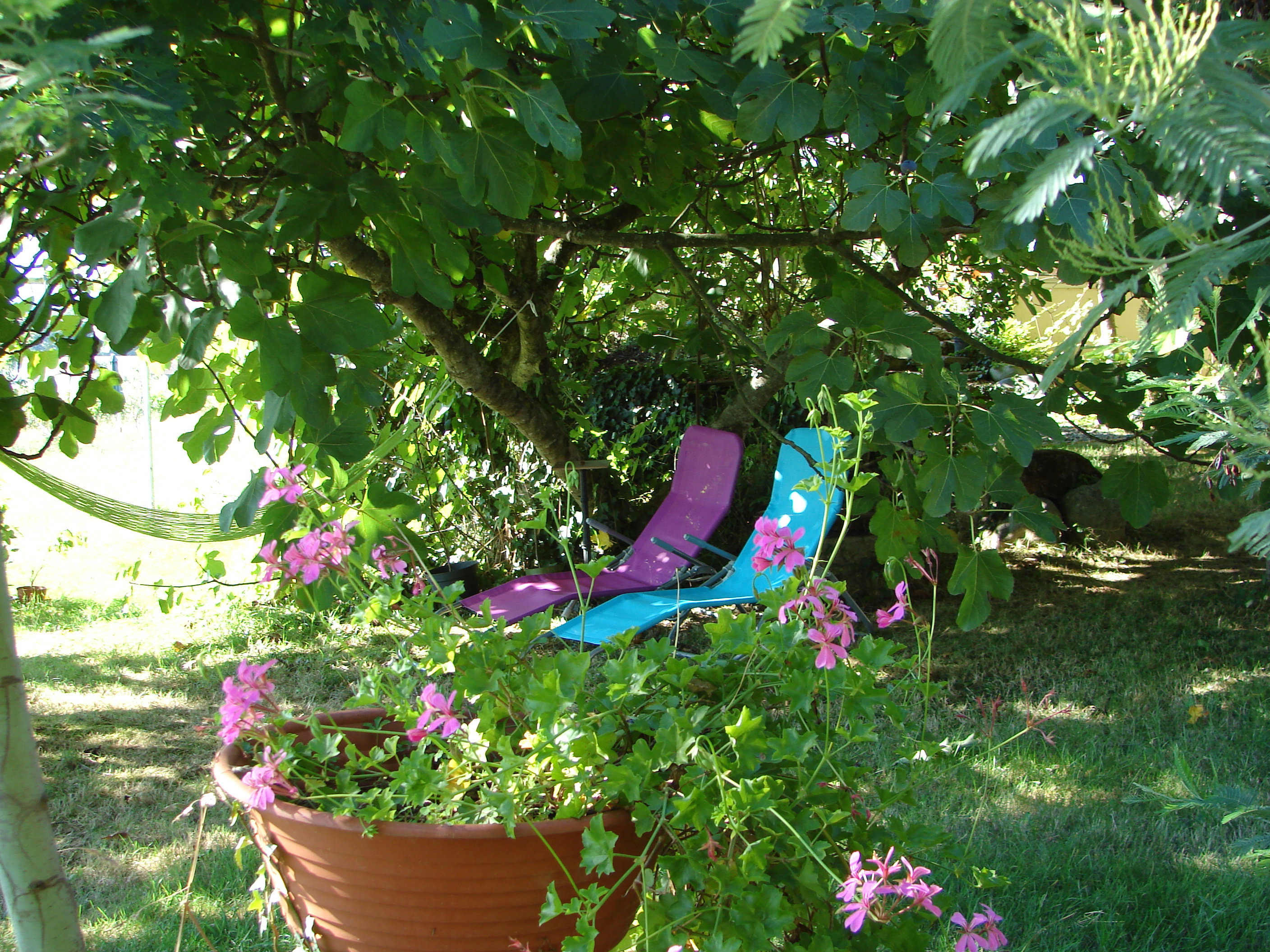 Maison nature à Puydarrieux