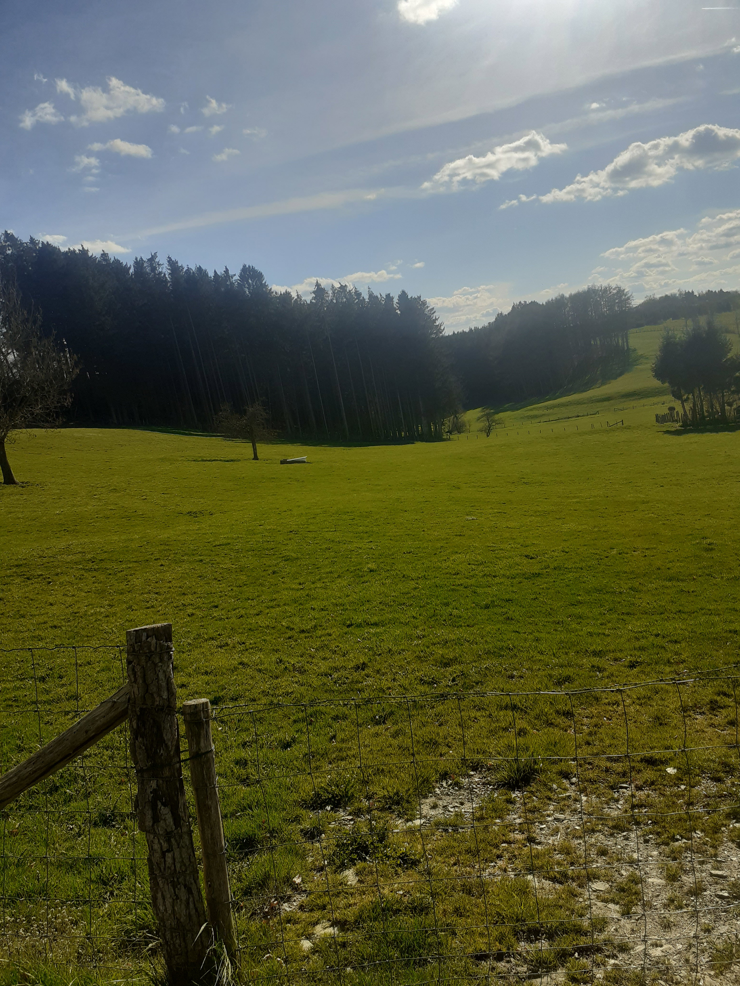 - image: 16