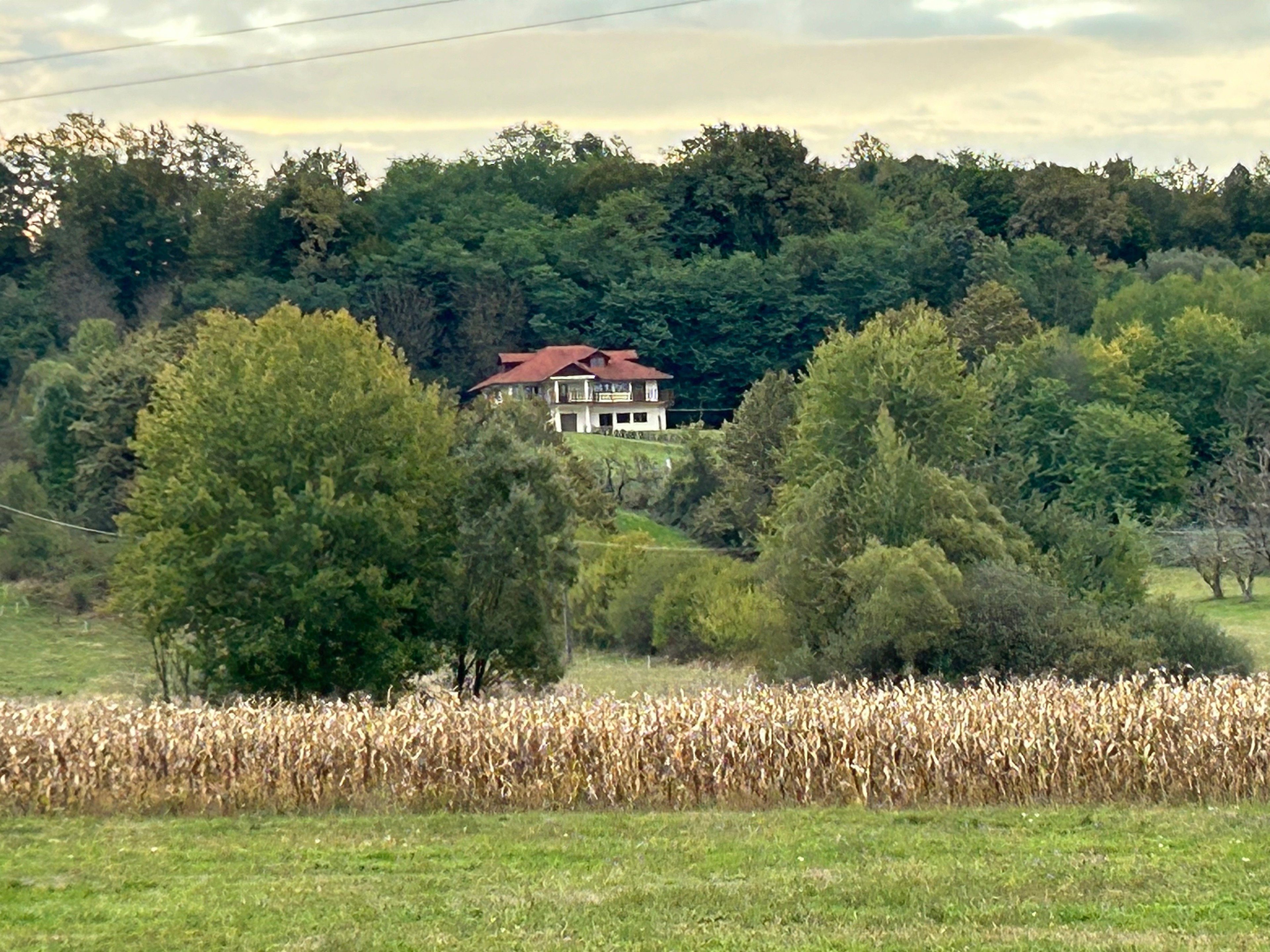 Nature house in Varfurile (arad)