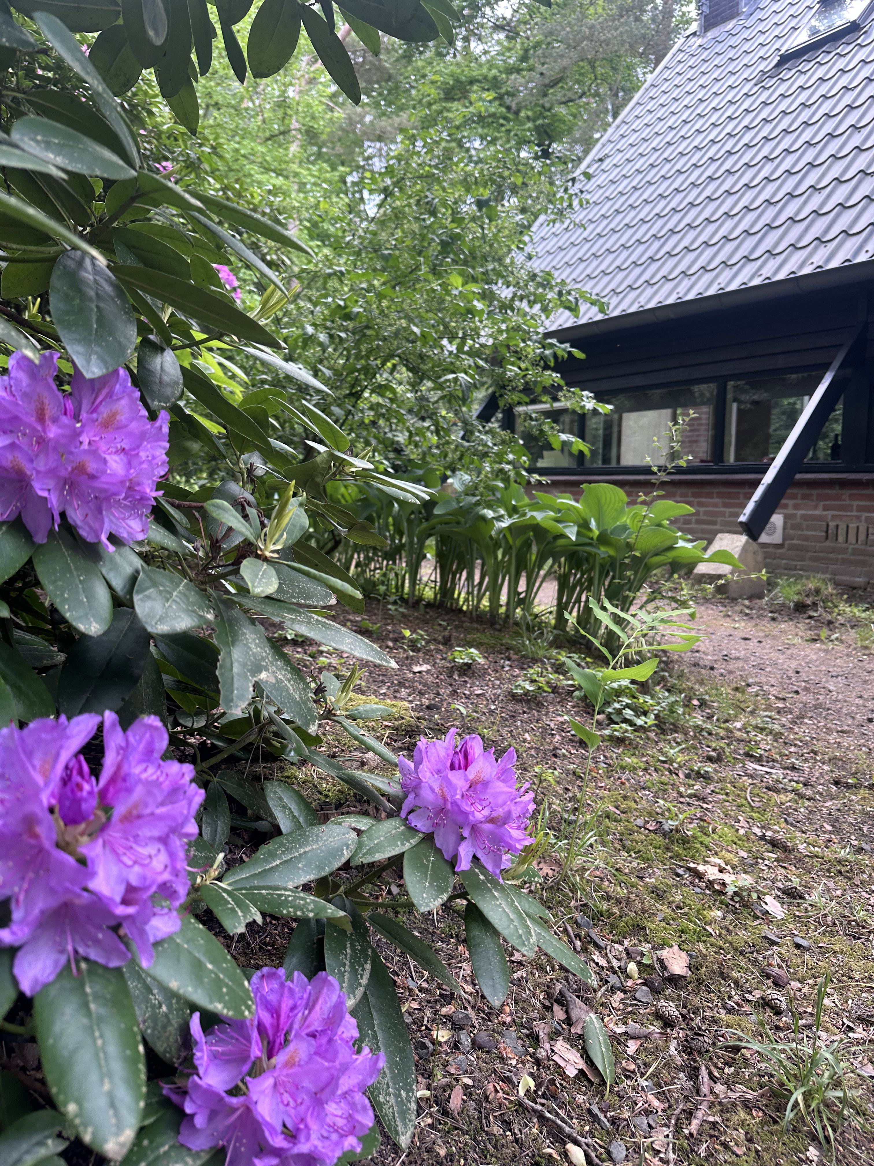Nature house in Eersel