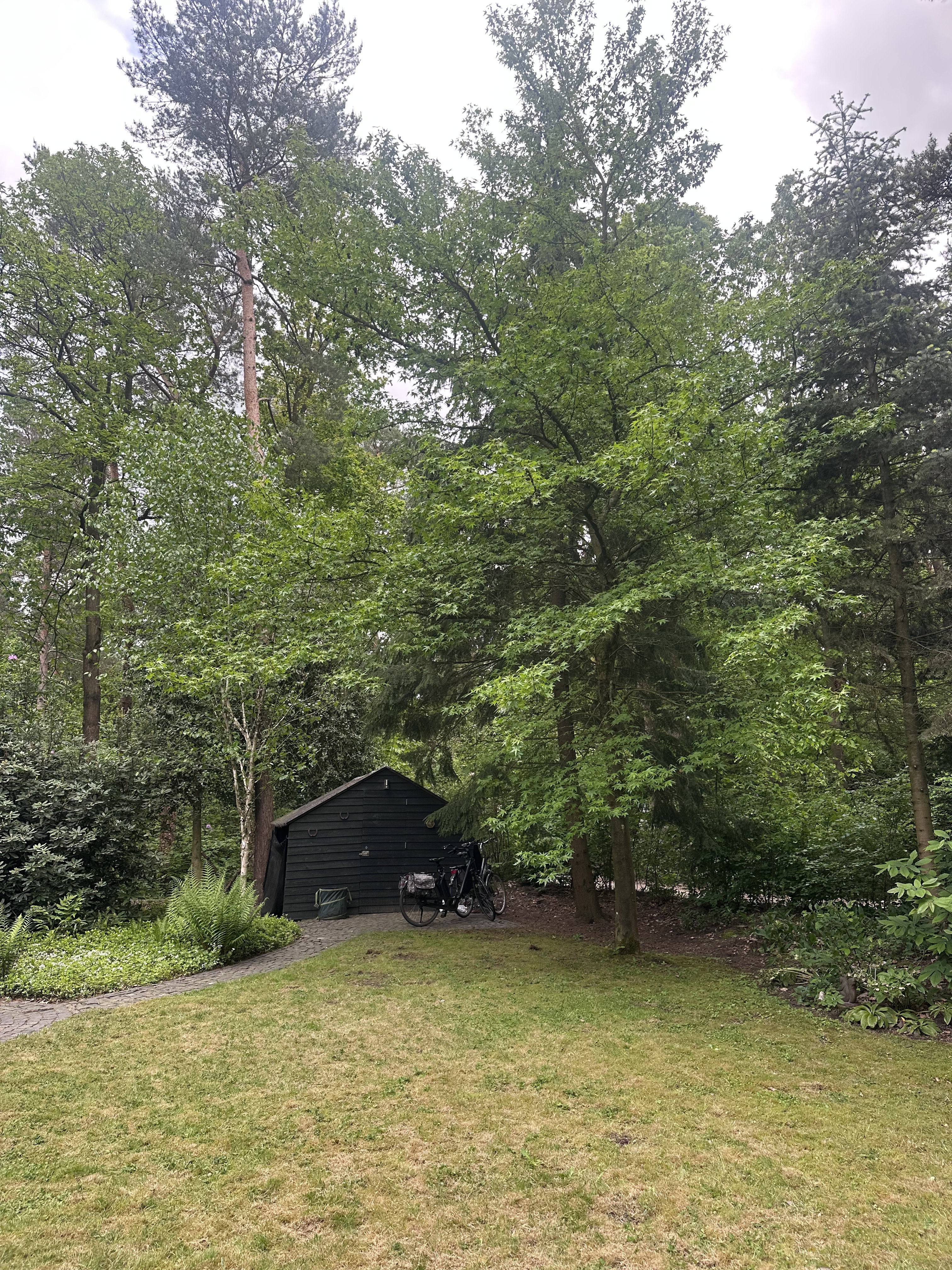Nature house in Eersel