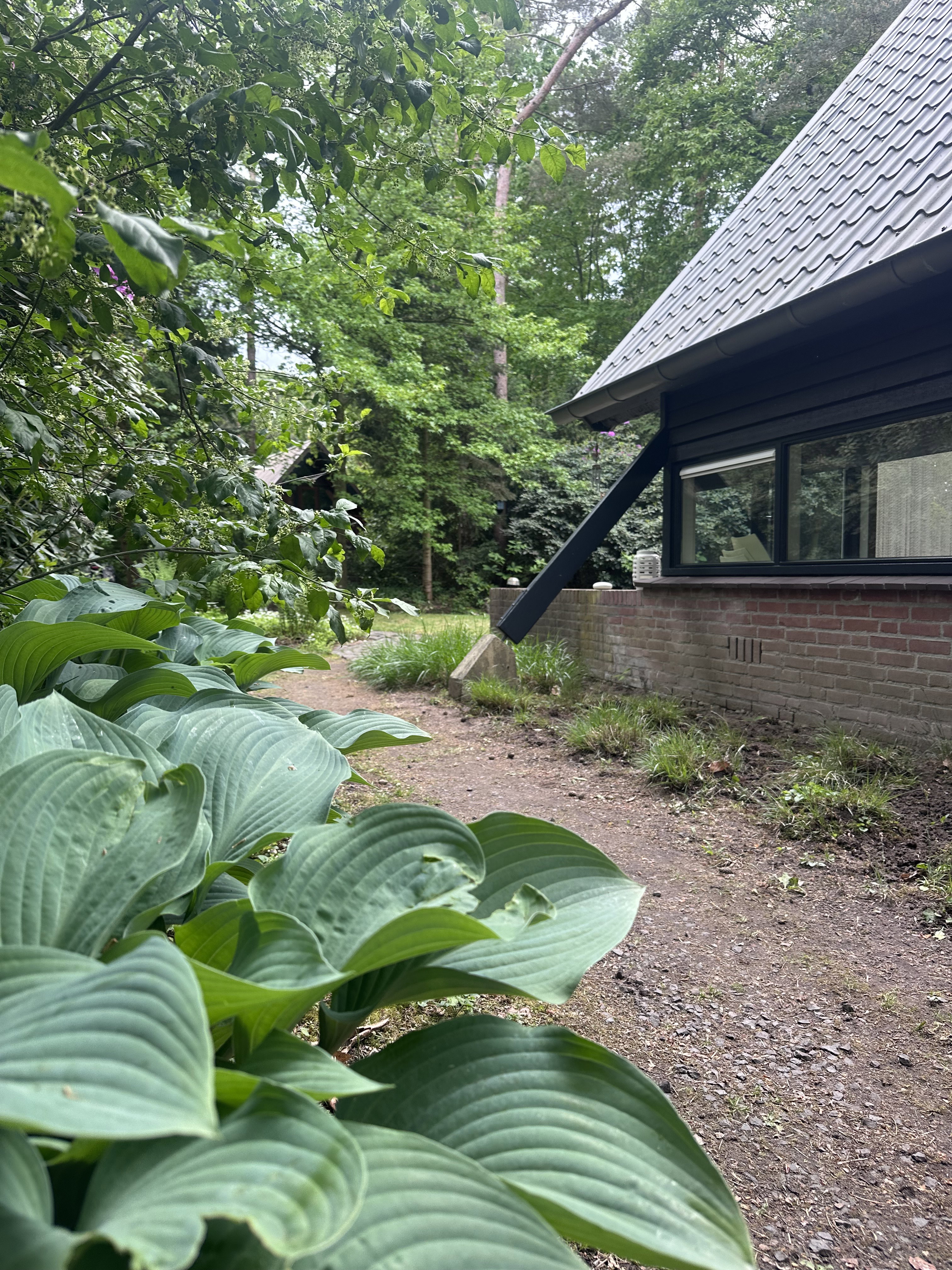 Nature house in Eersel