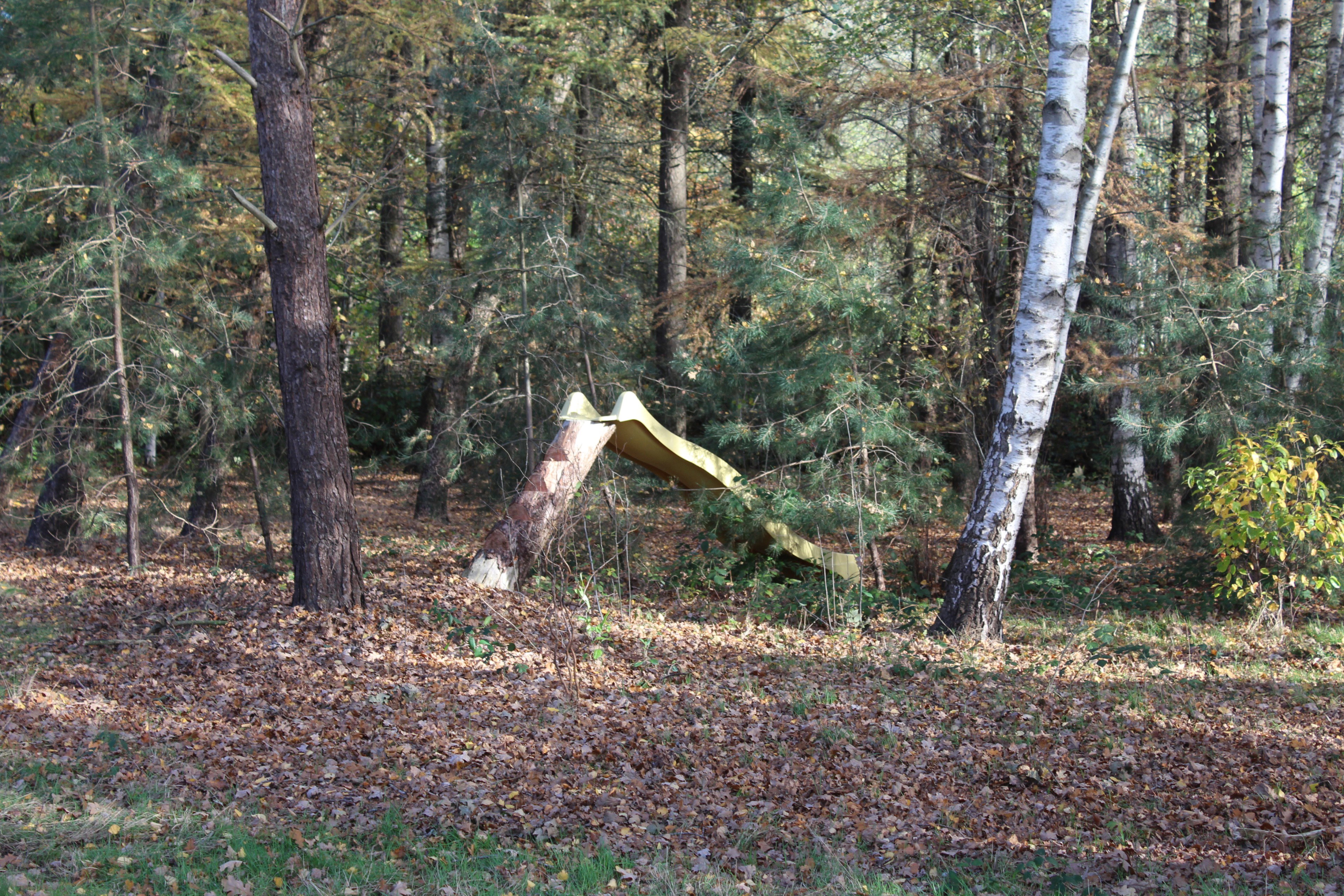 - image: 13