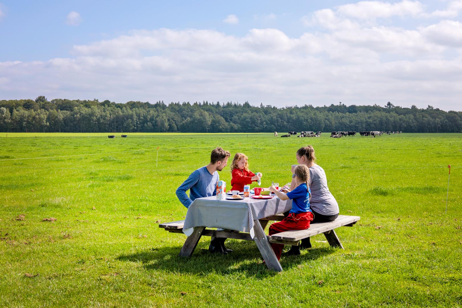 Natuurhuisje in Zweeloo