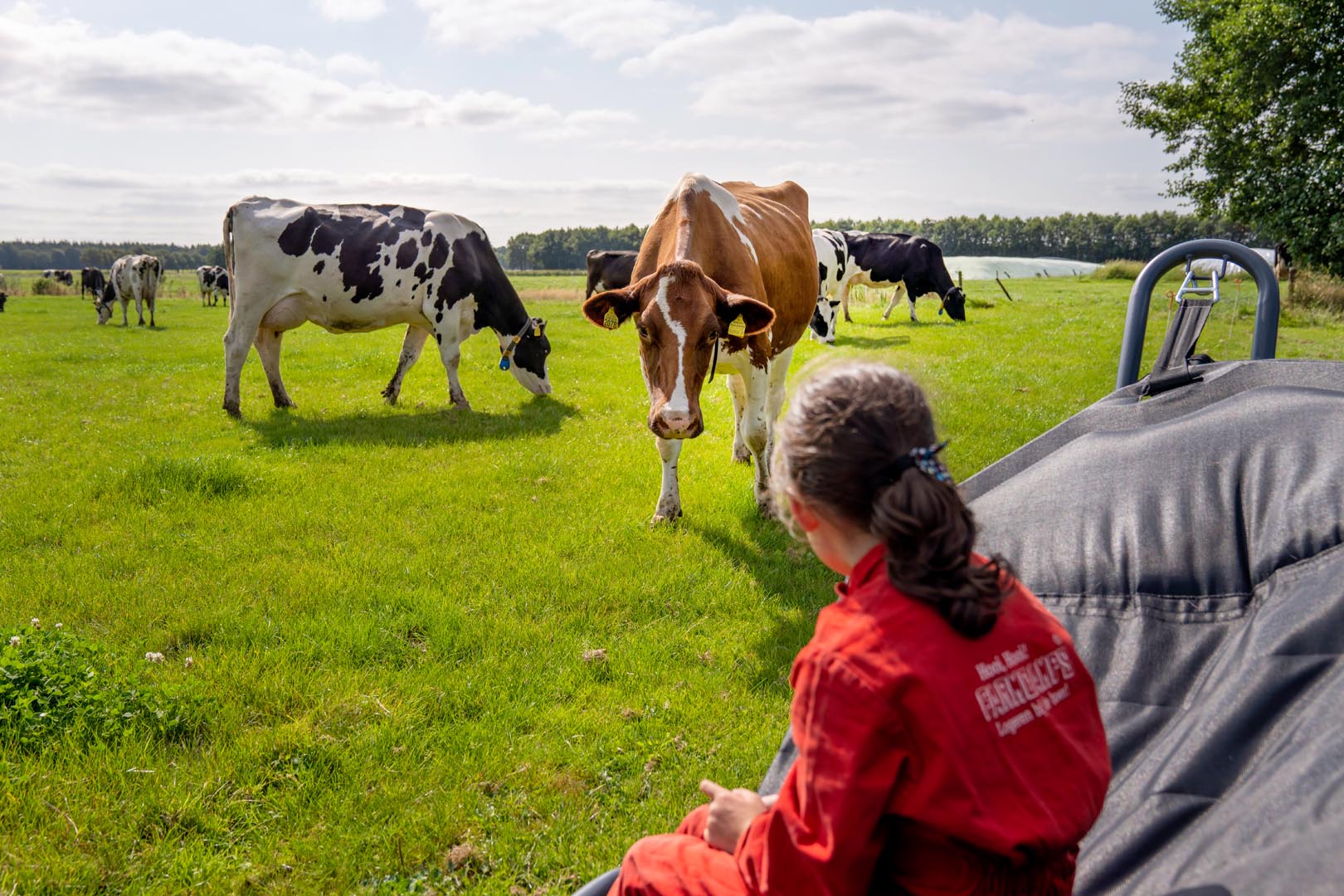 Natuurhuisje in Zweeloo