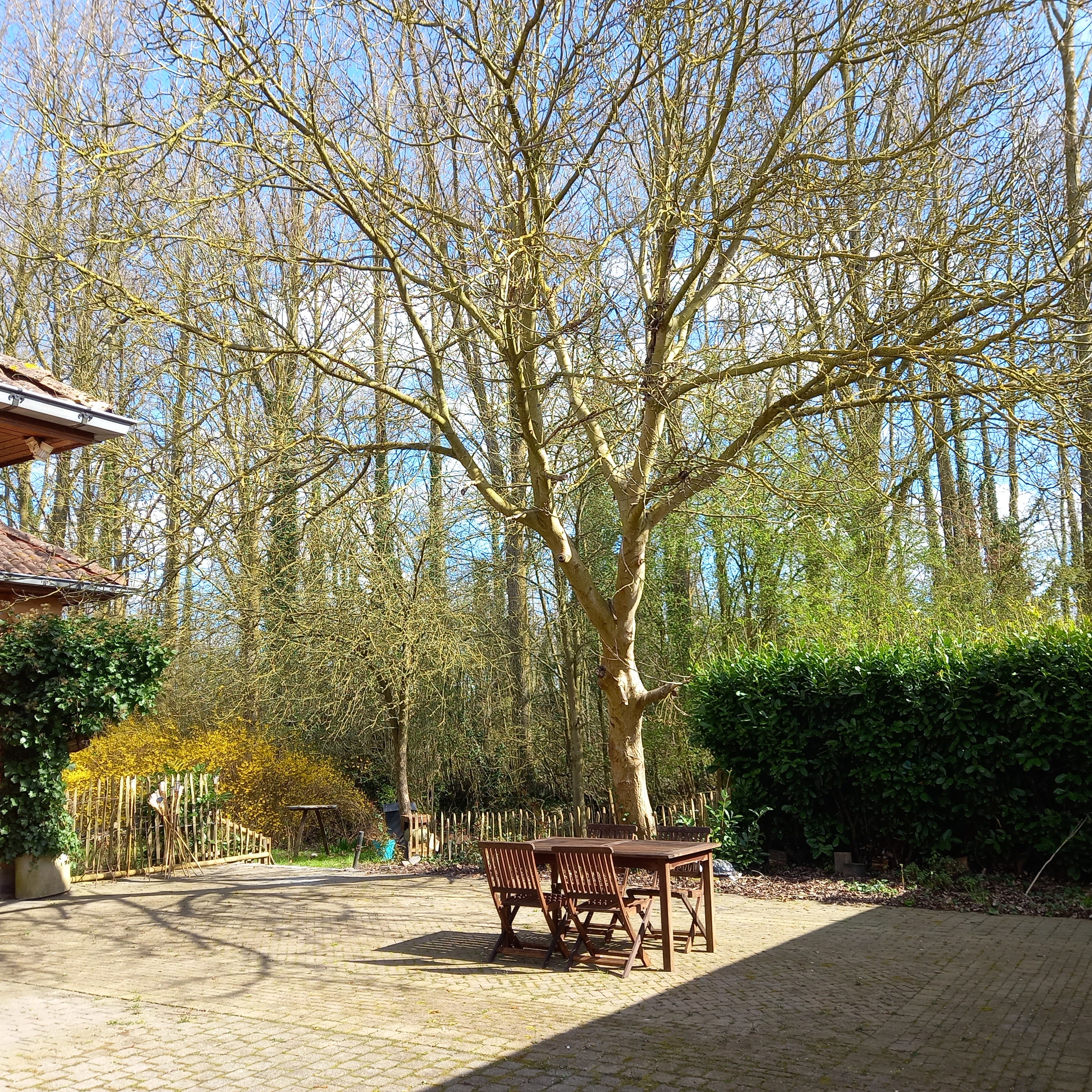 Natuurhuisje in Zottegem