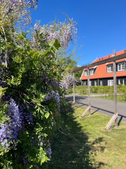 Natuurhuisje in Den Burg