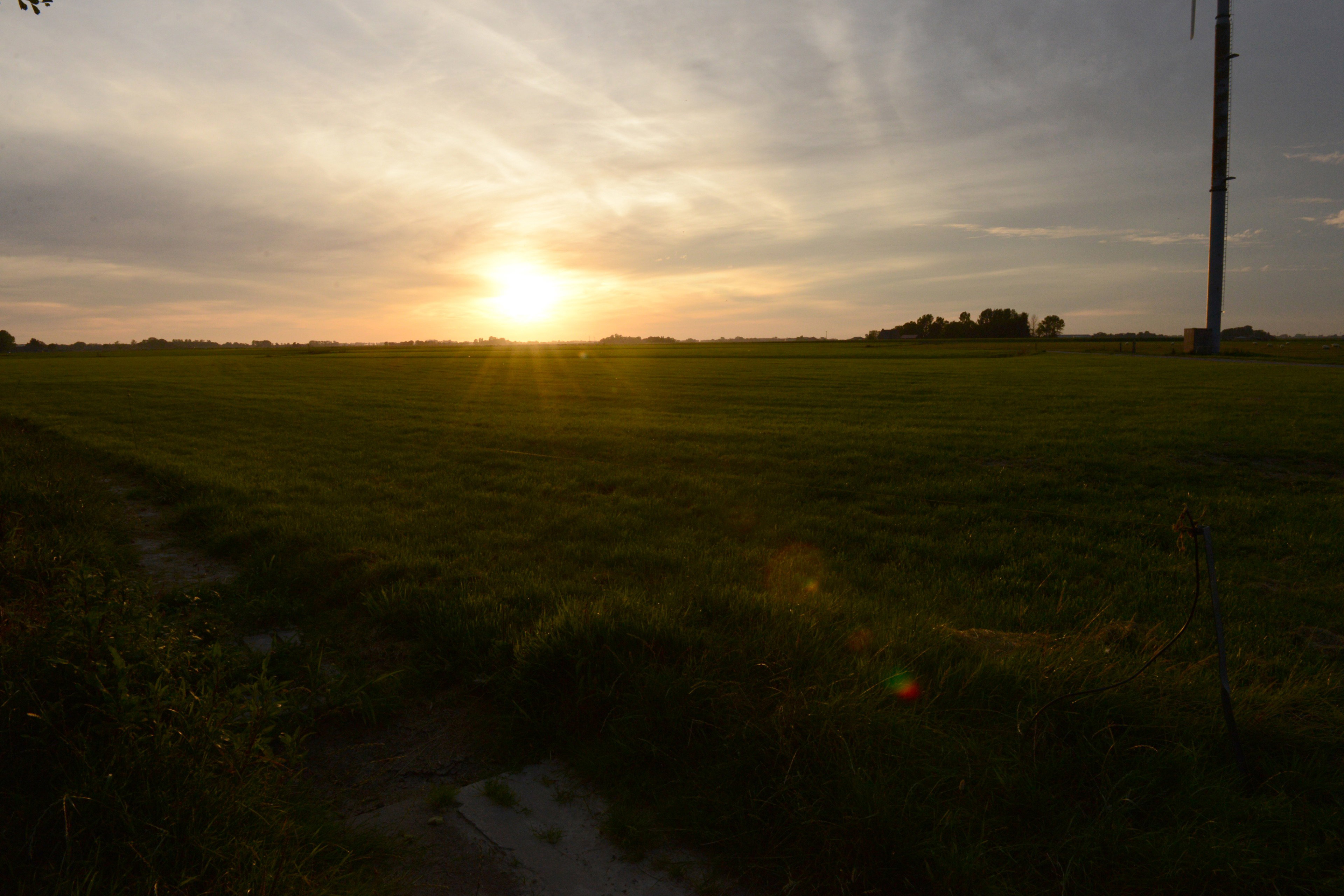 - image: 13