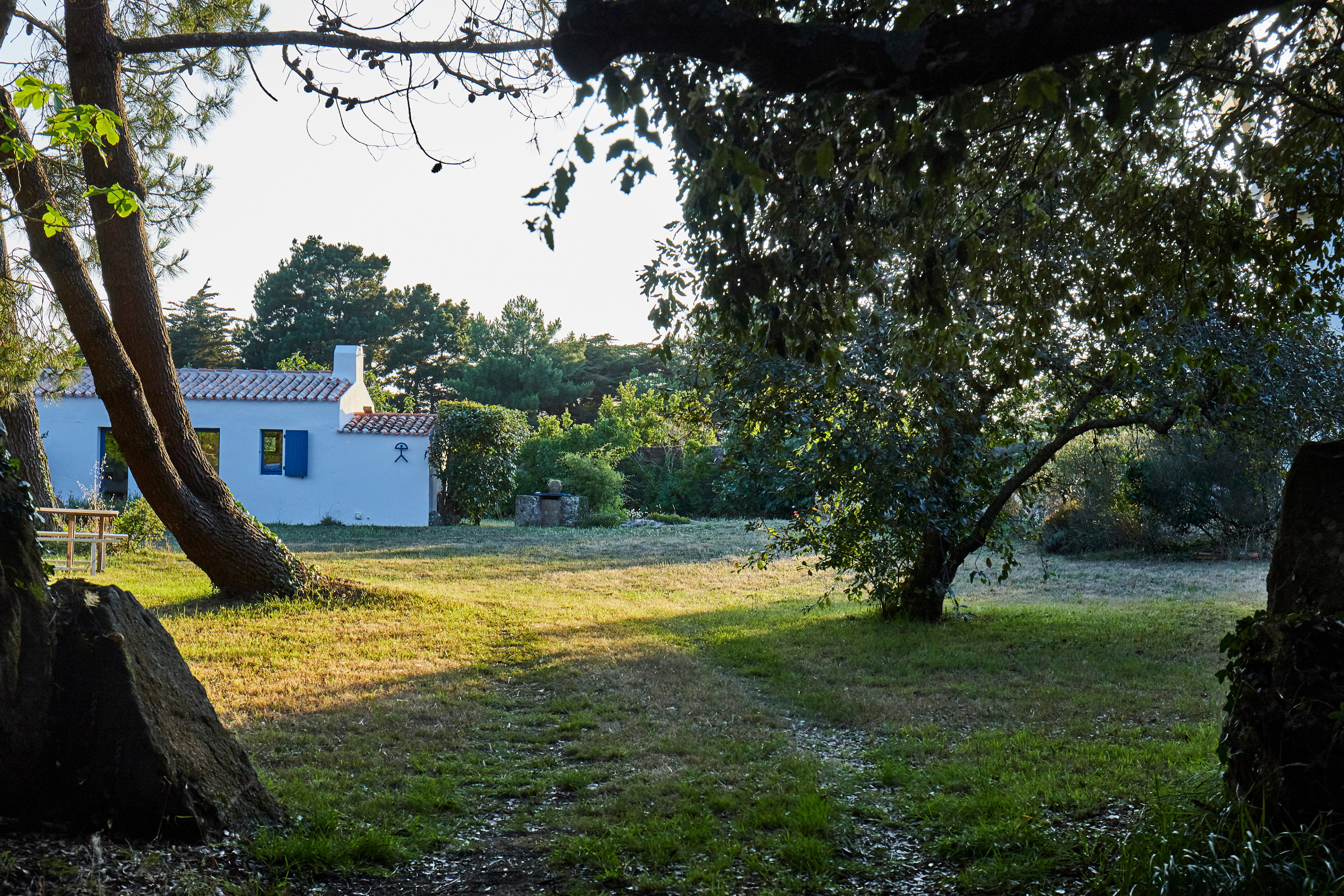 - image: 22