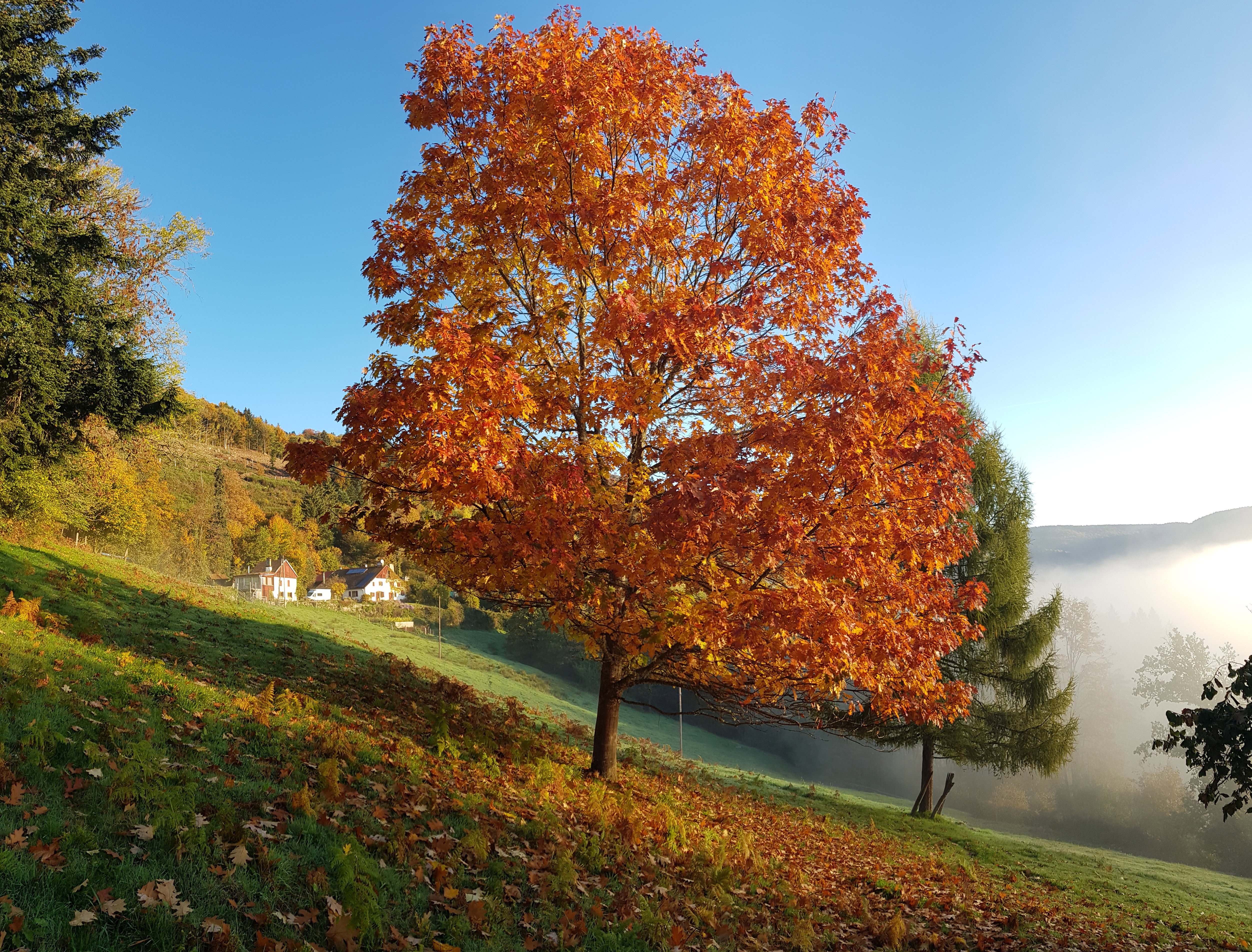 Casa nella natura a Rupt sur Moselle