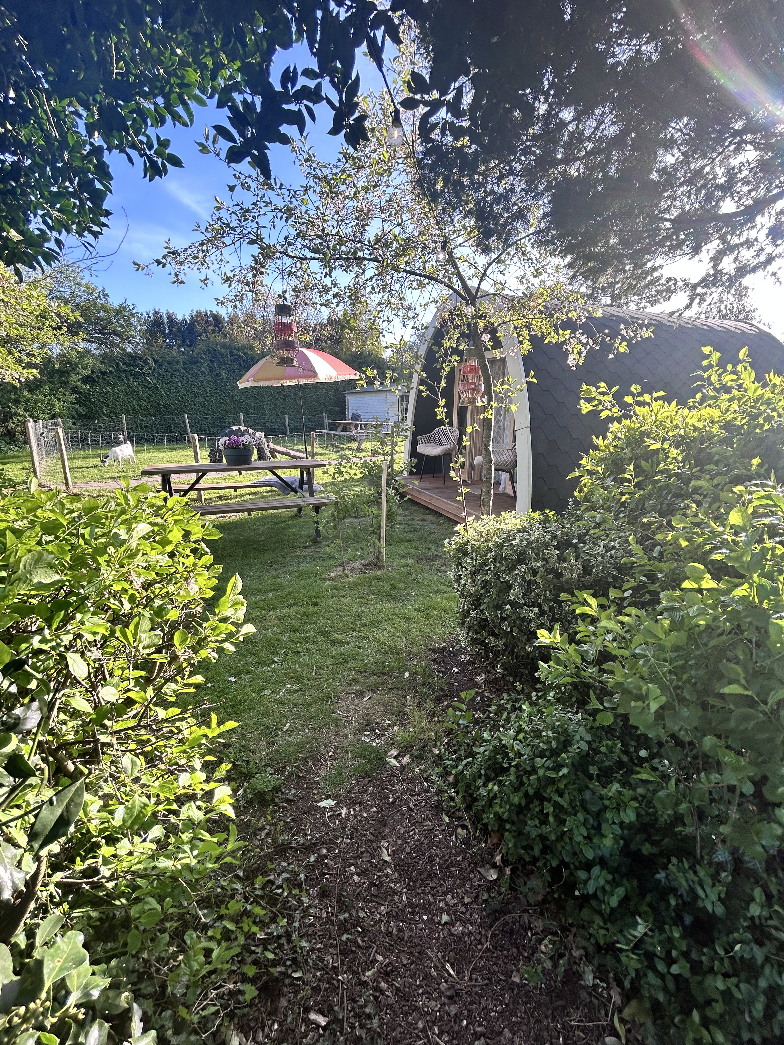 Casa nella natura a Barger-Compascuum