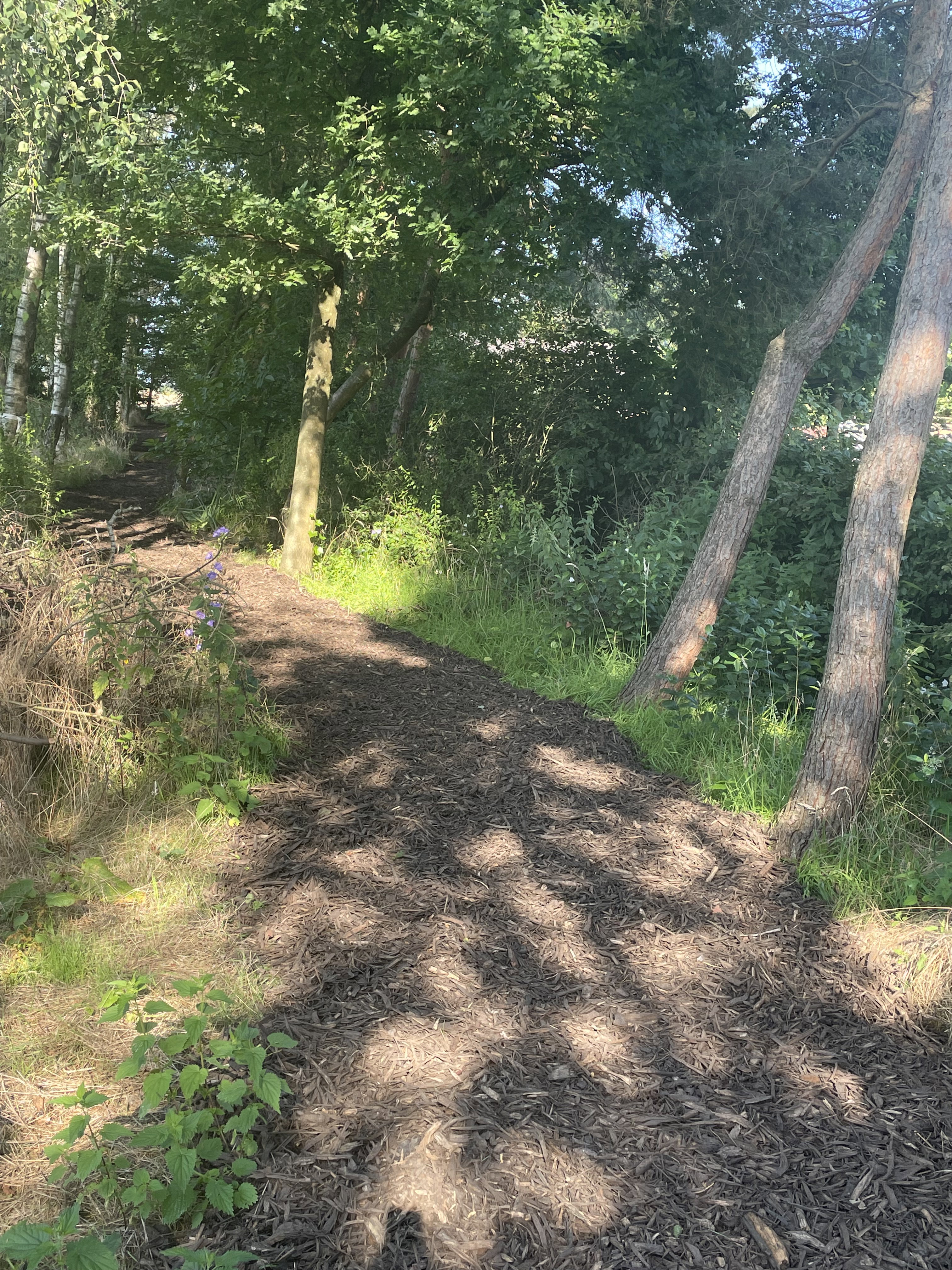 Natuurhuisje in Poppel